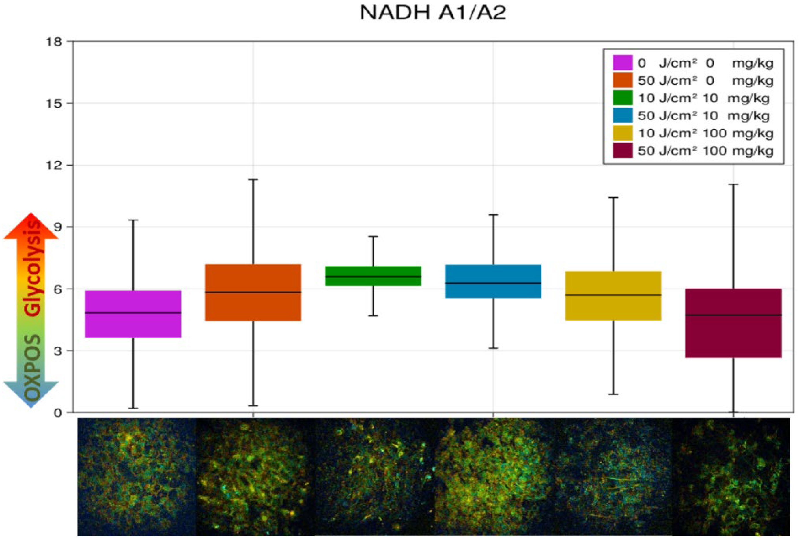 Photonics 09 00961 g010 Photonics 09 00961 g010