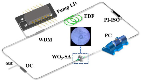 Revealing the Evolution from Q-Switching to Mode-Locking in