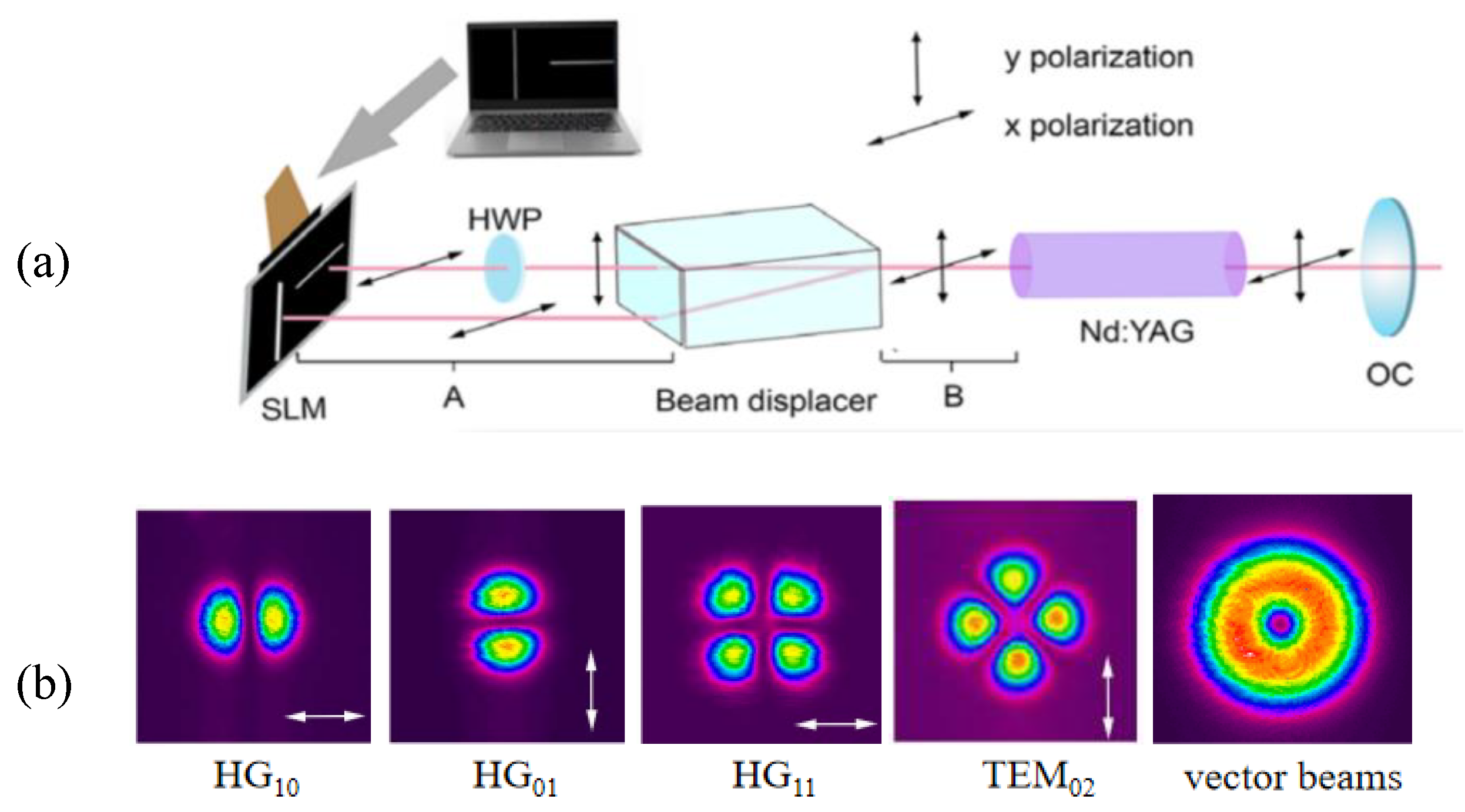 Photonics 10 00001 g003