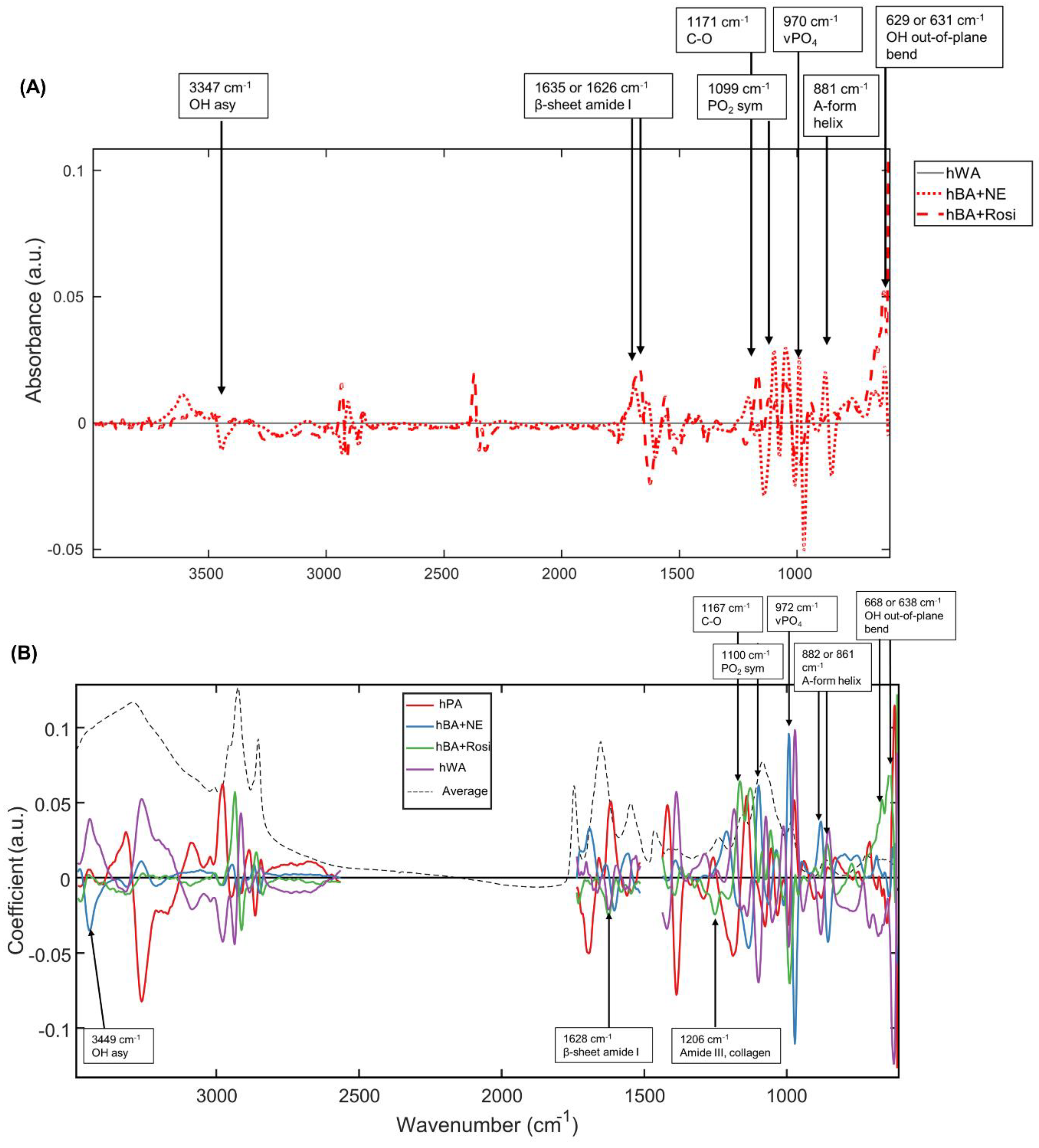 Photonics 10 00002 g003a Photonics 10 00002 g003a