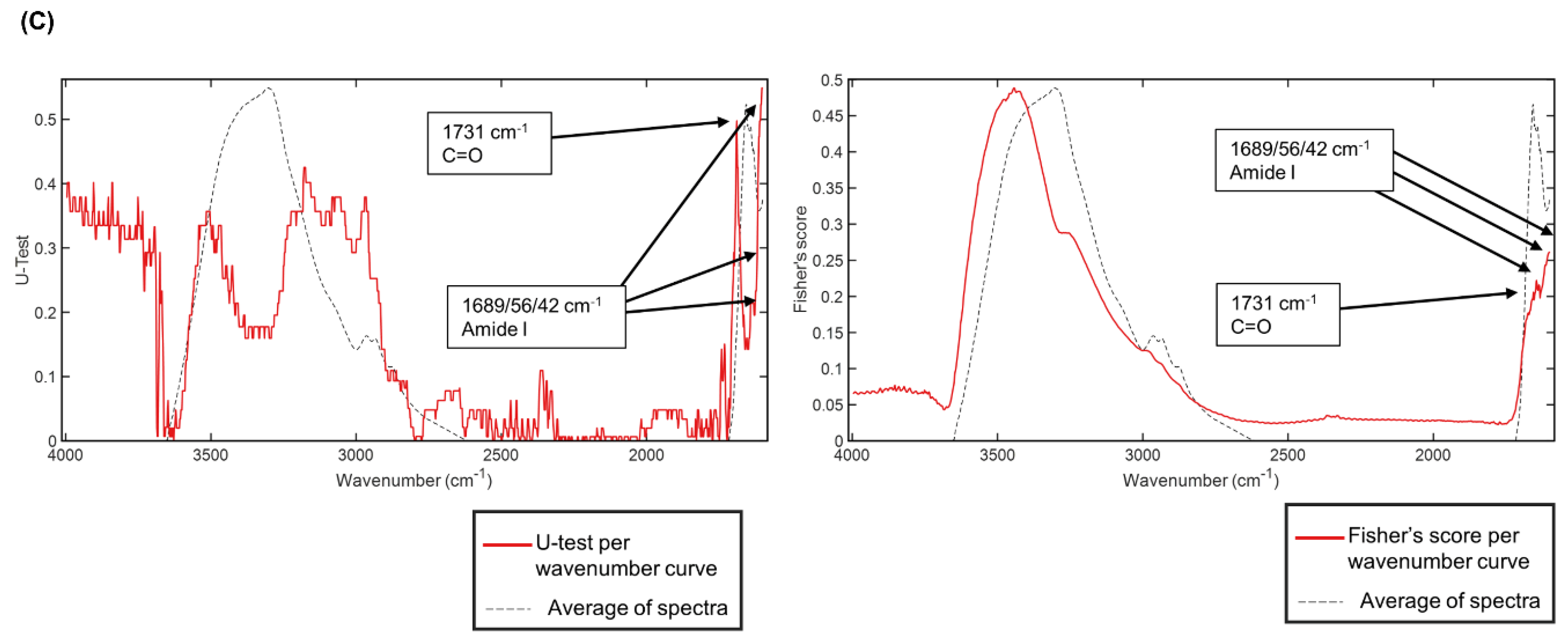 Photonics 10 00002 g004b Photonics 10 00002 g004b