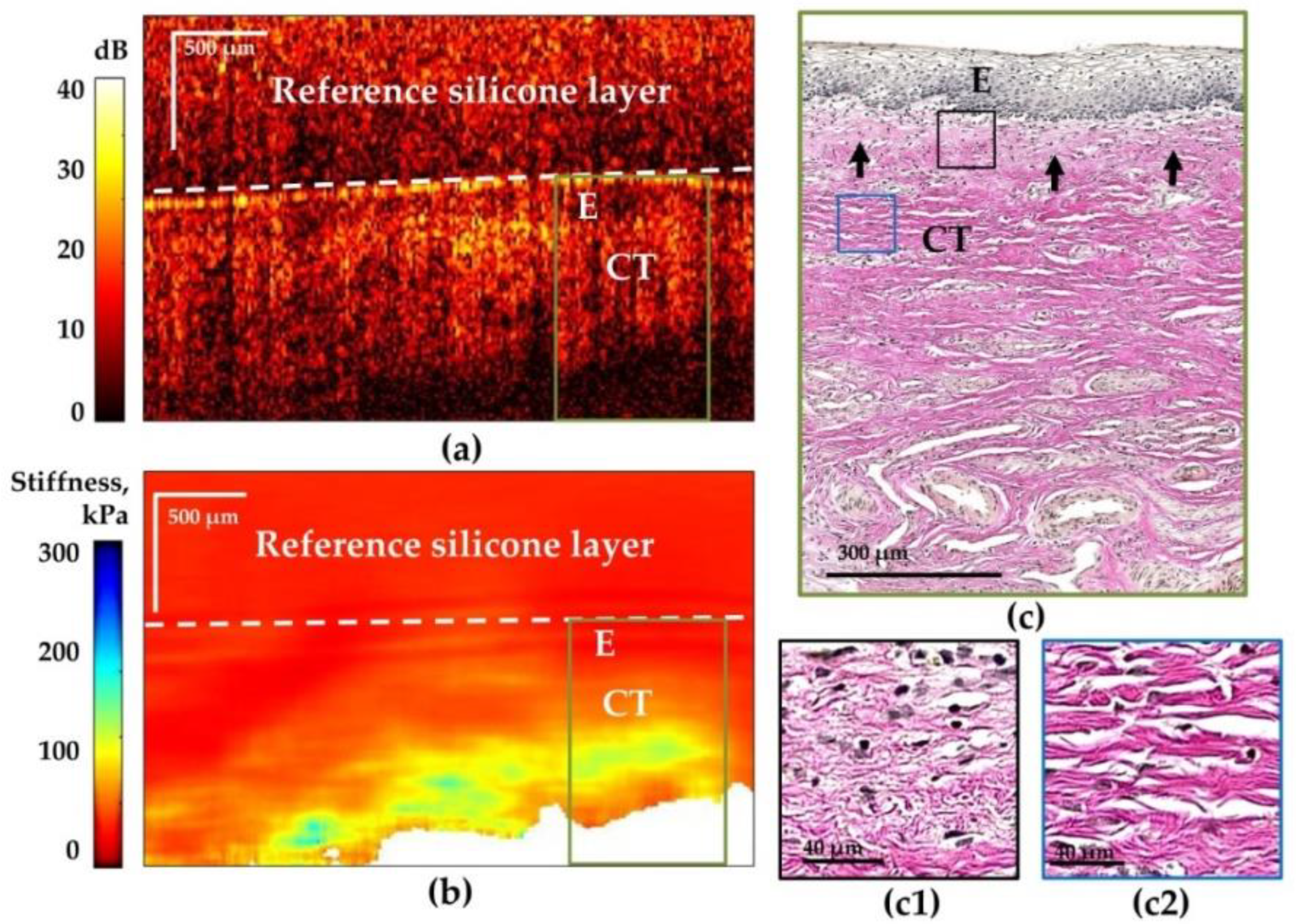 Photonics 10 00006 g003 Photonics 10 00006 g003