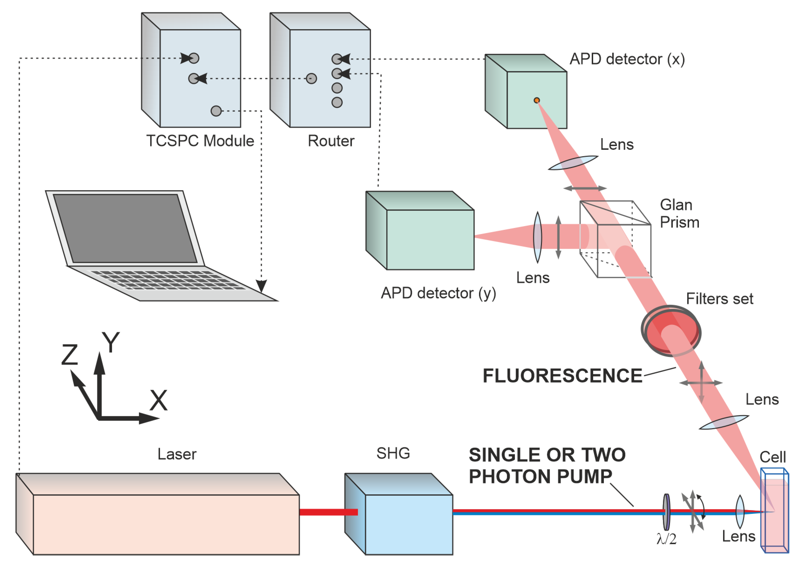 Photonics 10 00009 g002