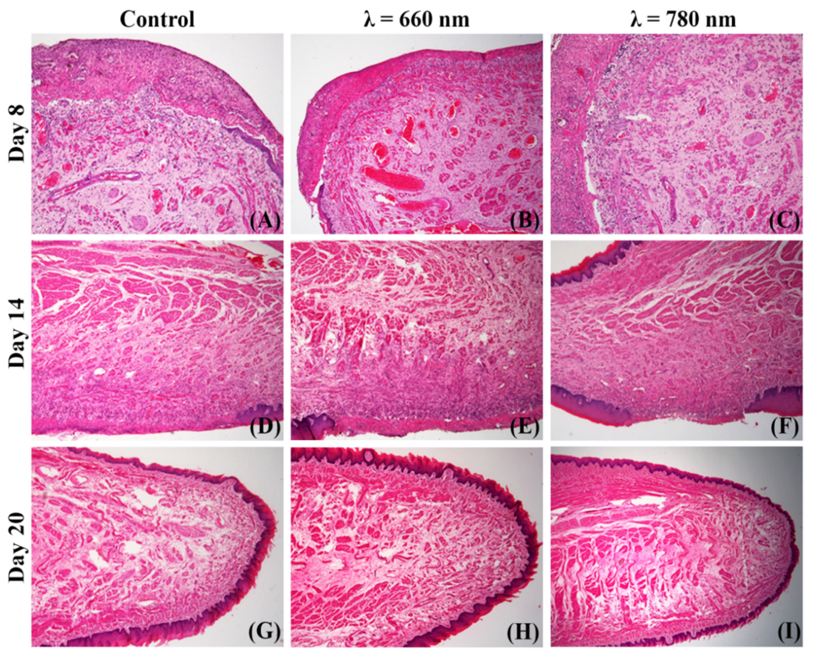 Photonics 10 00016 g004 Photonics 10 00016 g004