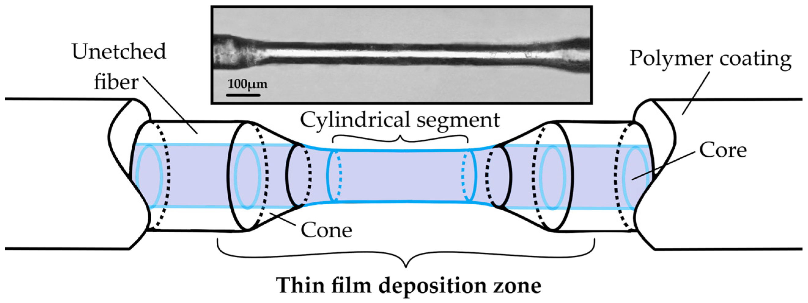 Photonics 10 00019 g001