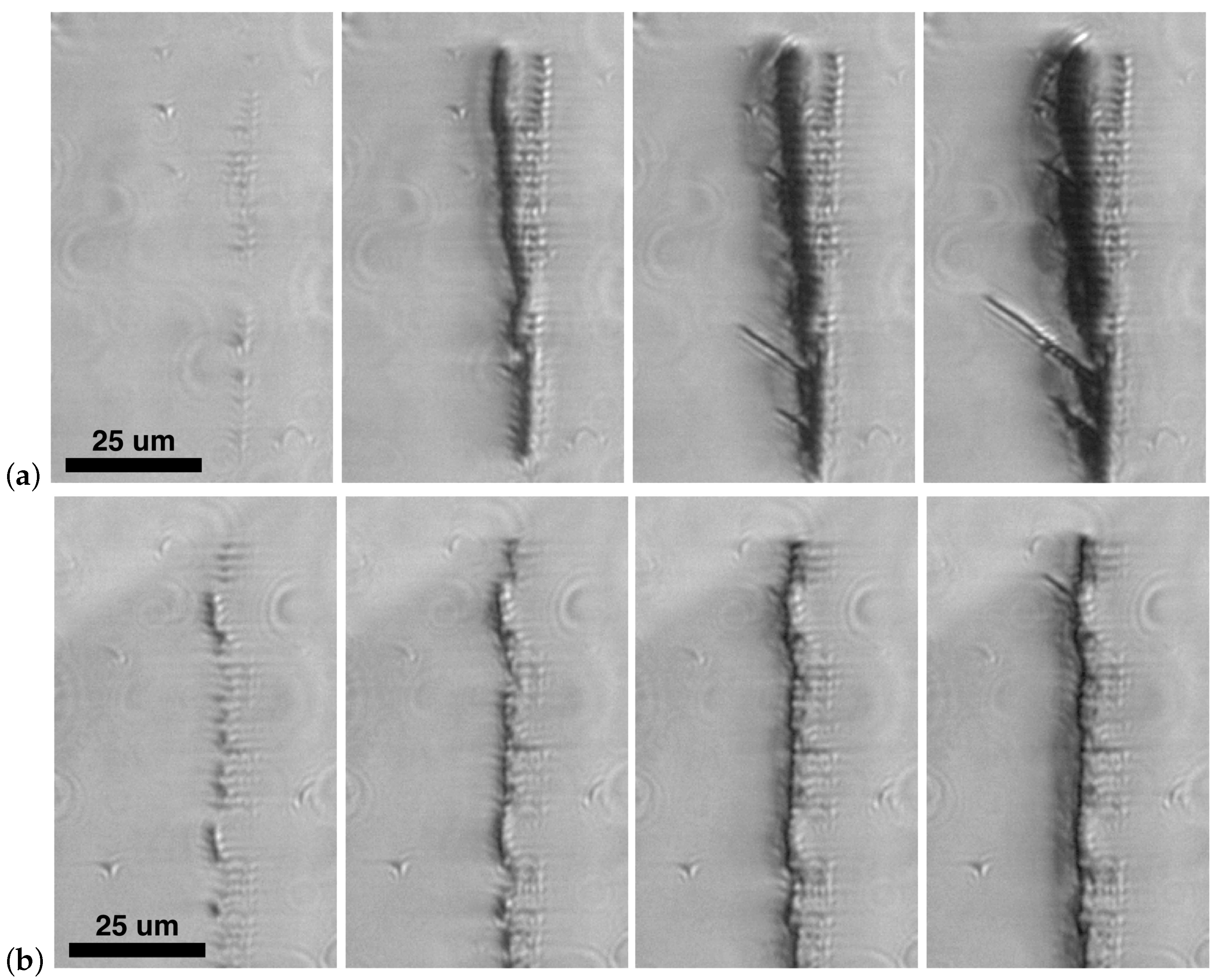 Photonics 10 00043 g003