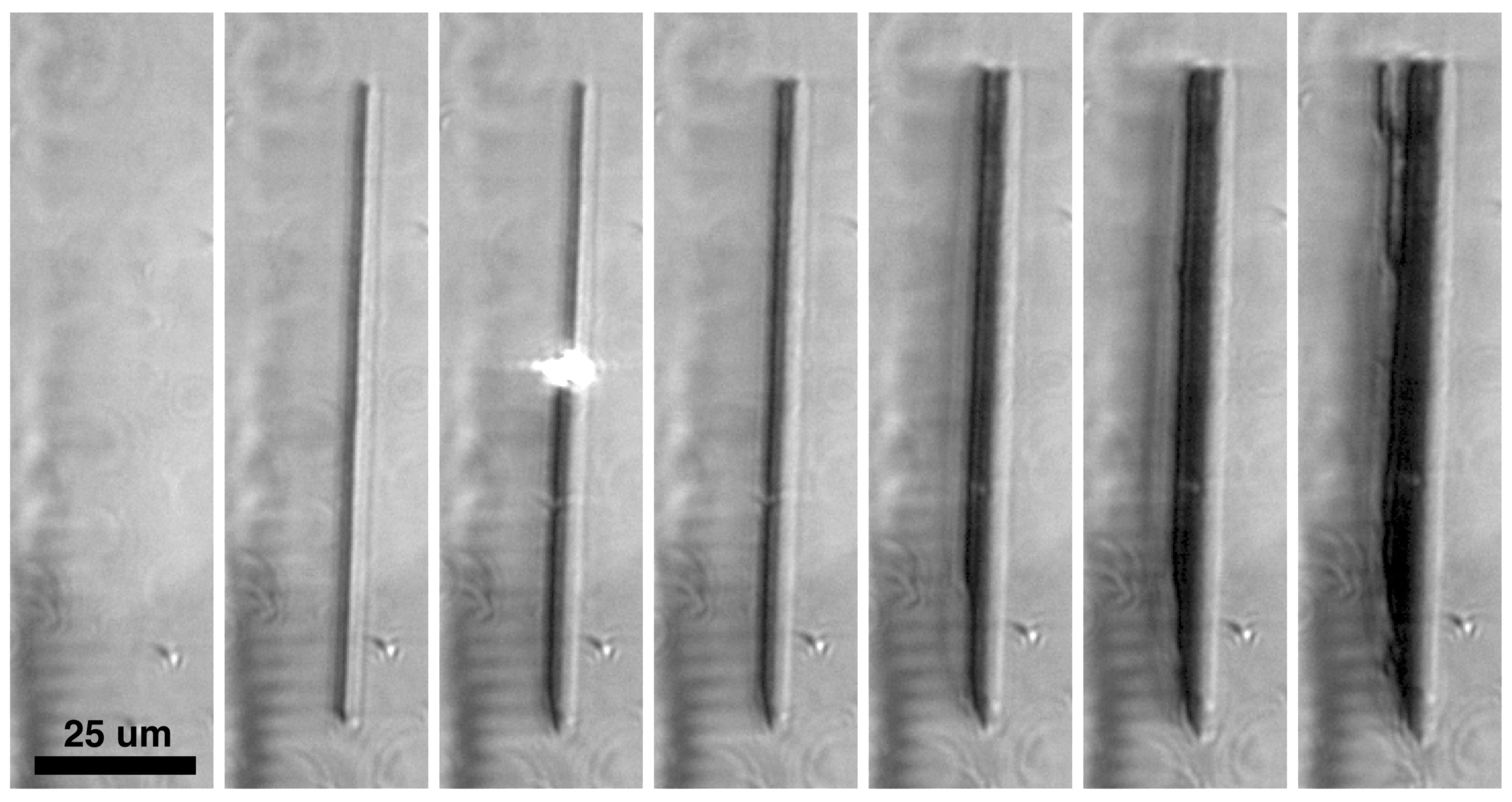 Photonics 10 00043 g004