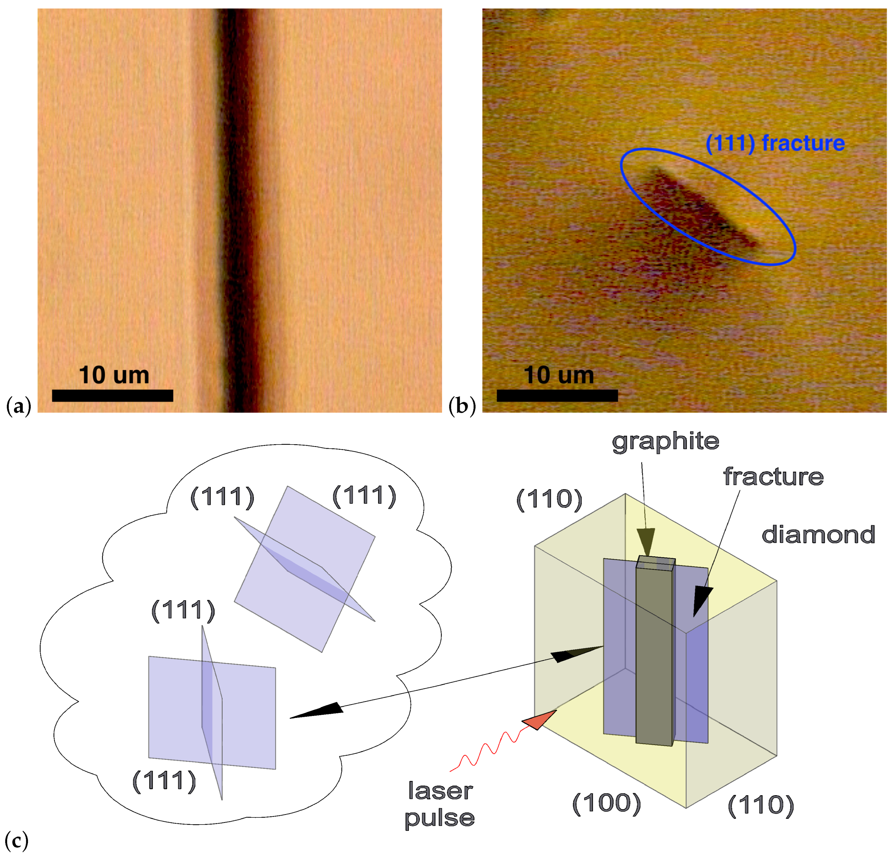 Photonics 10 00043 g005