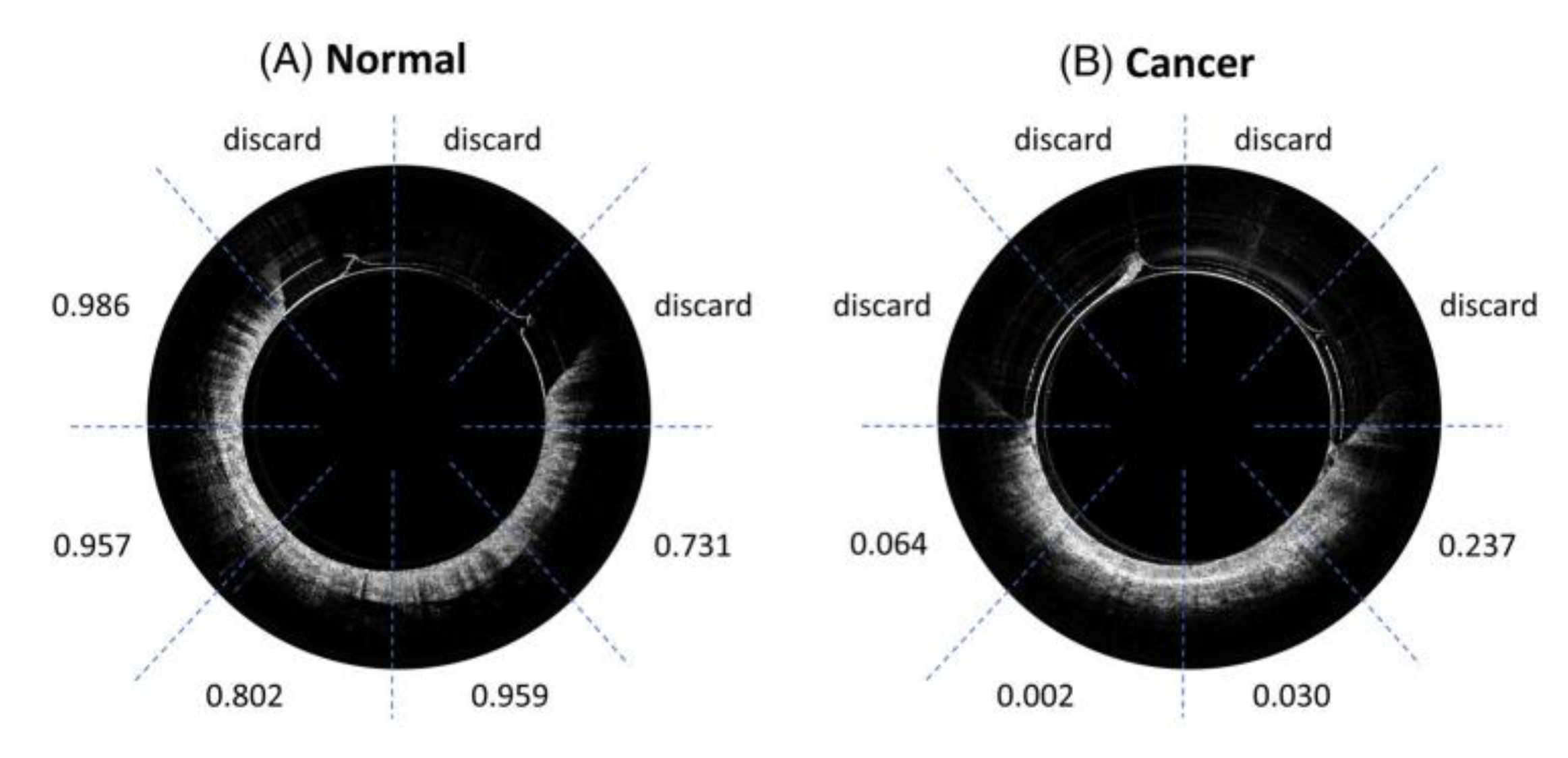Photonics 10 00051 g016