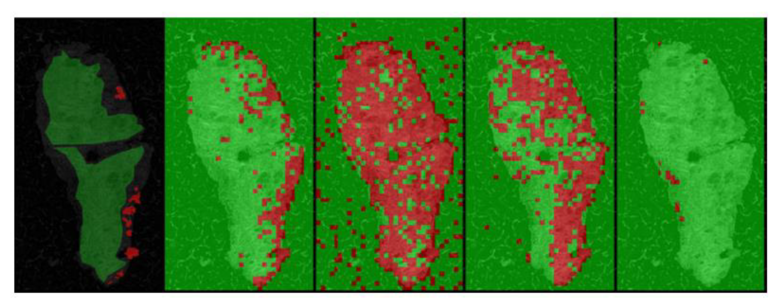 Photonics 10 00051 g017