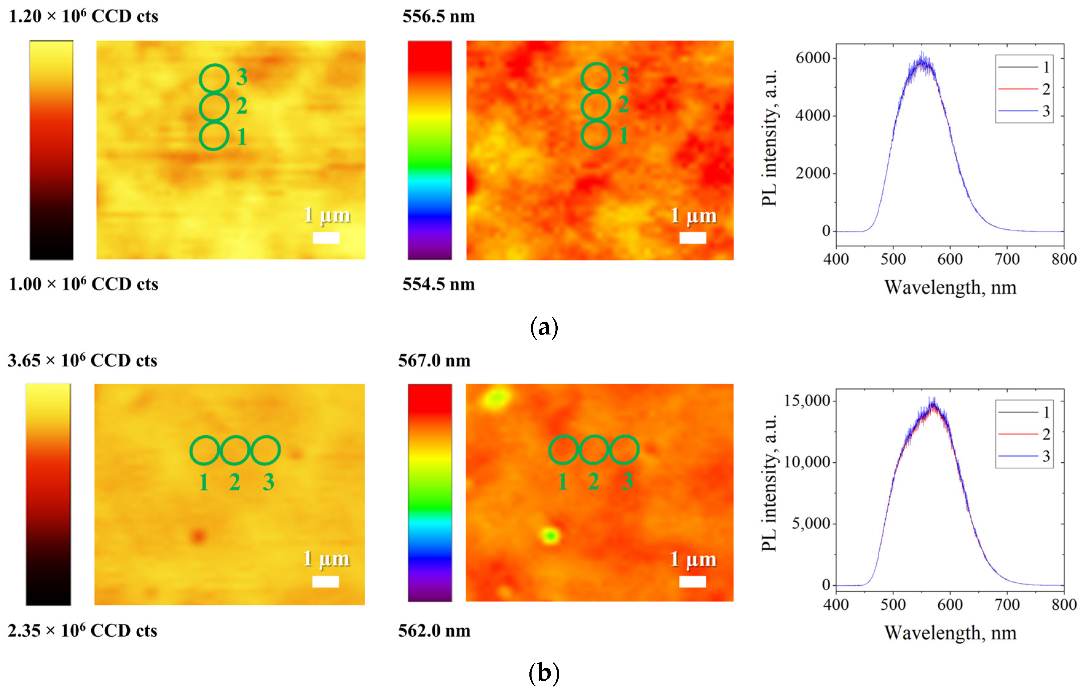 Photonics 10 00054 g002a