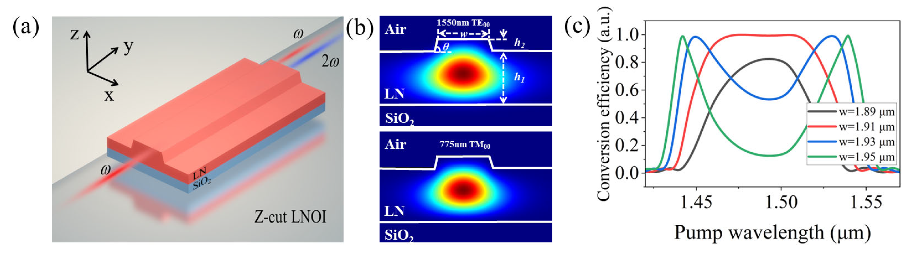 Broadband Second Harmonic Generation in a z-Cut Lithium