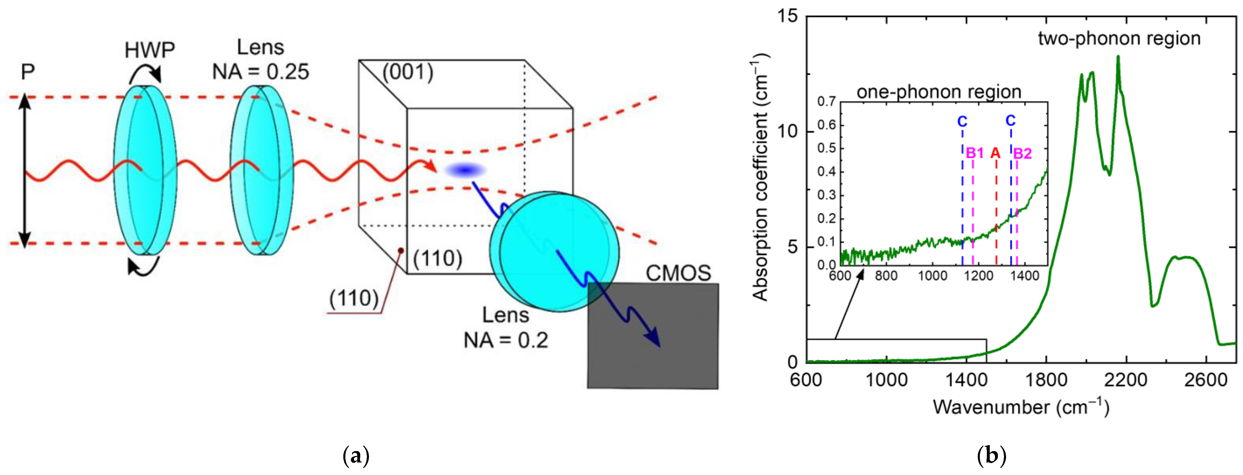 Photonics Free FullText PolarizationSensitive Optical Interaction of Ultrashort