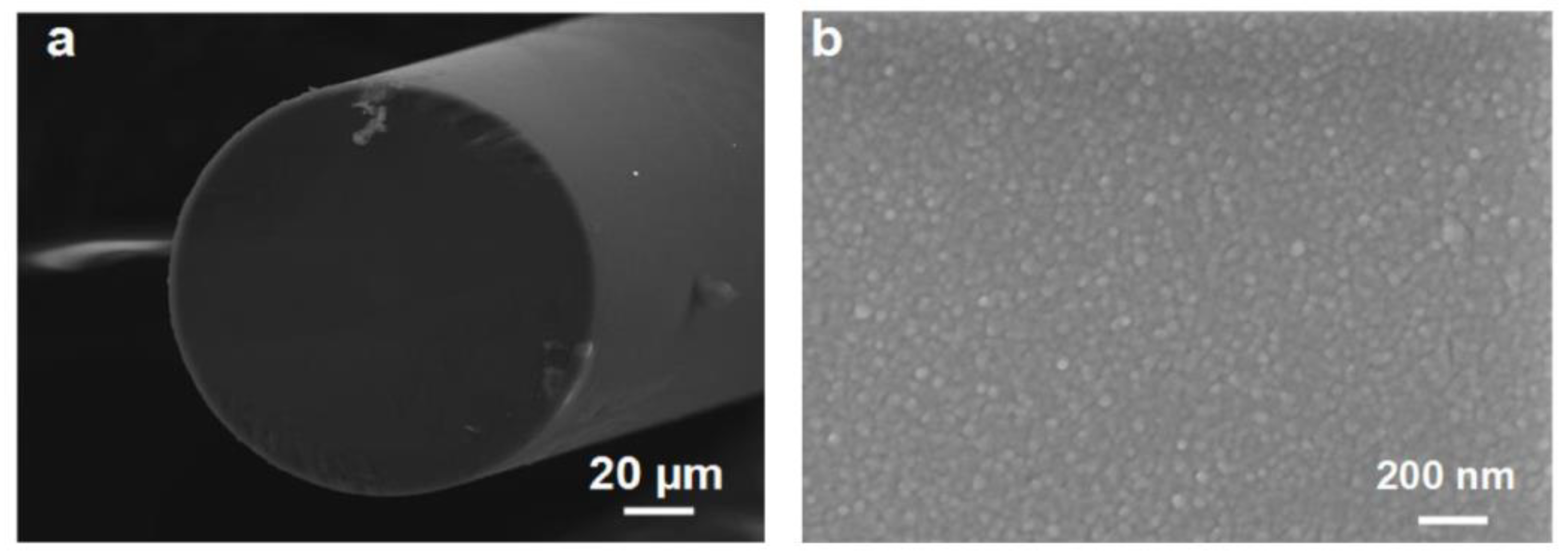 Photonics 10 00122 g008 Photonics 10 00122 g008