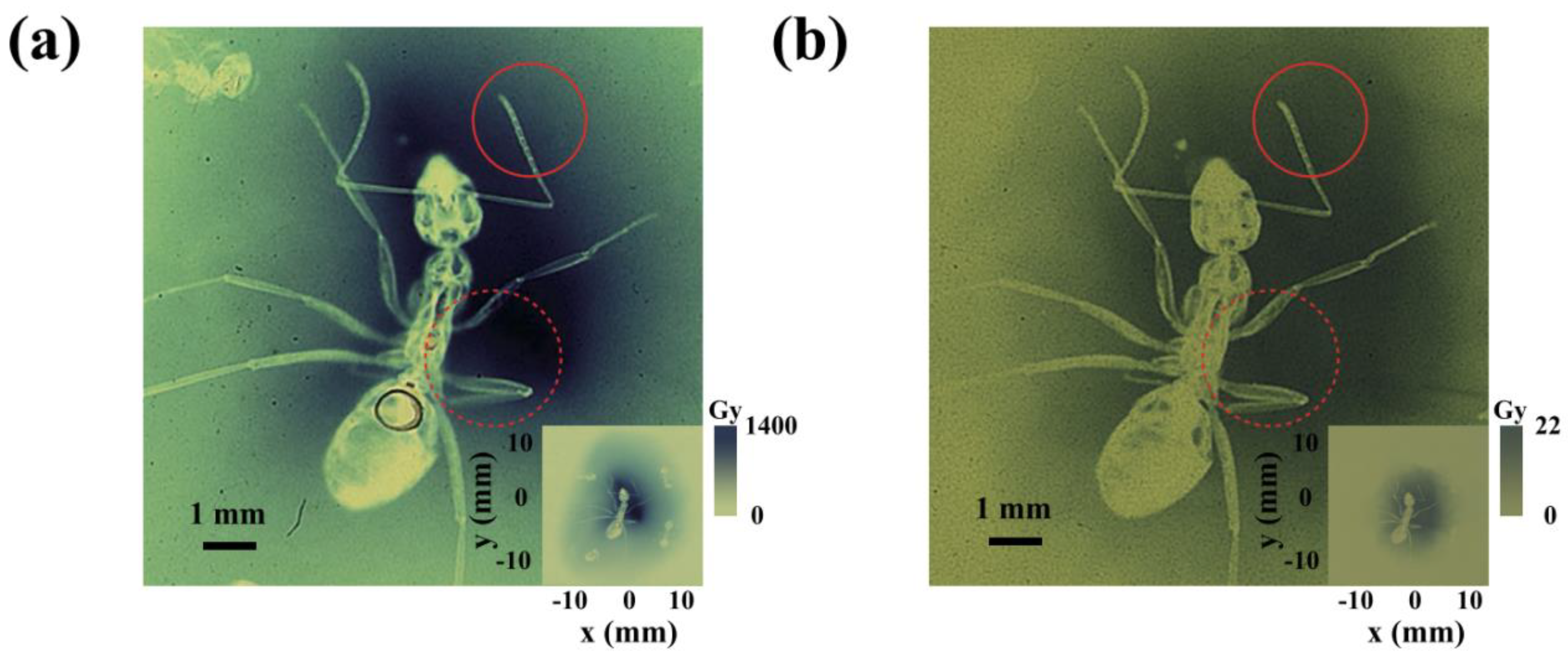 Photonics 10 00132 g008 Photonics 10 00132 g008