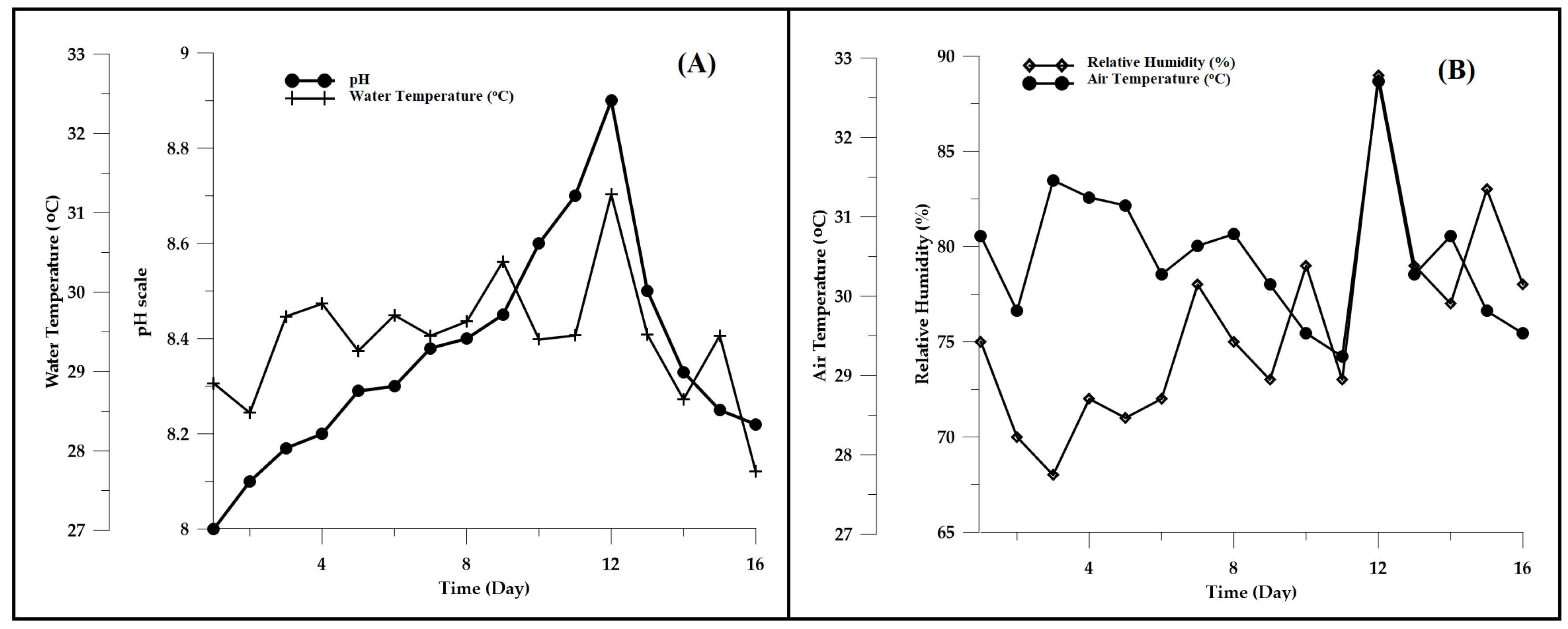 Photonics 10 00144 g006