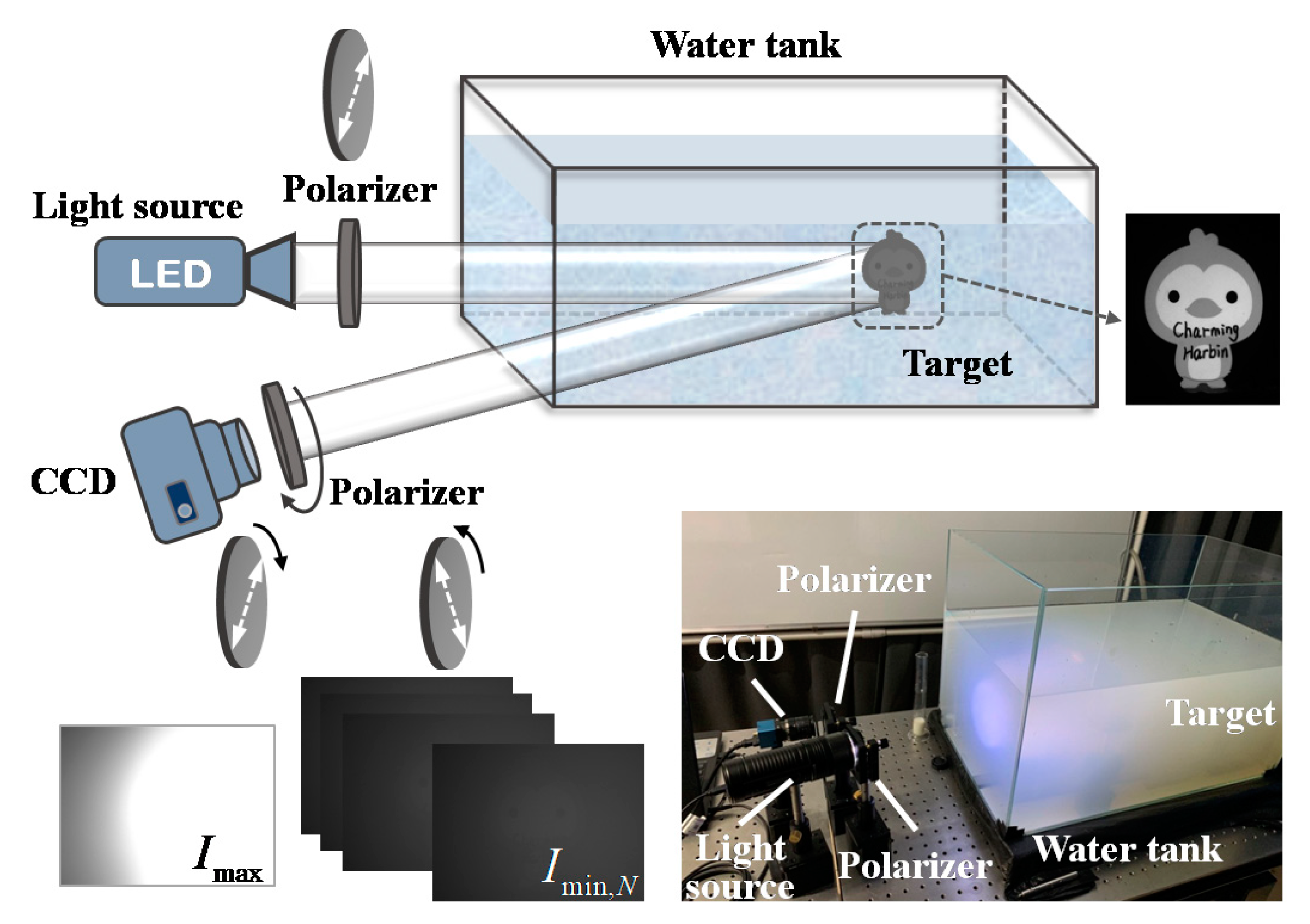 Photonics 10 00145 g004