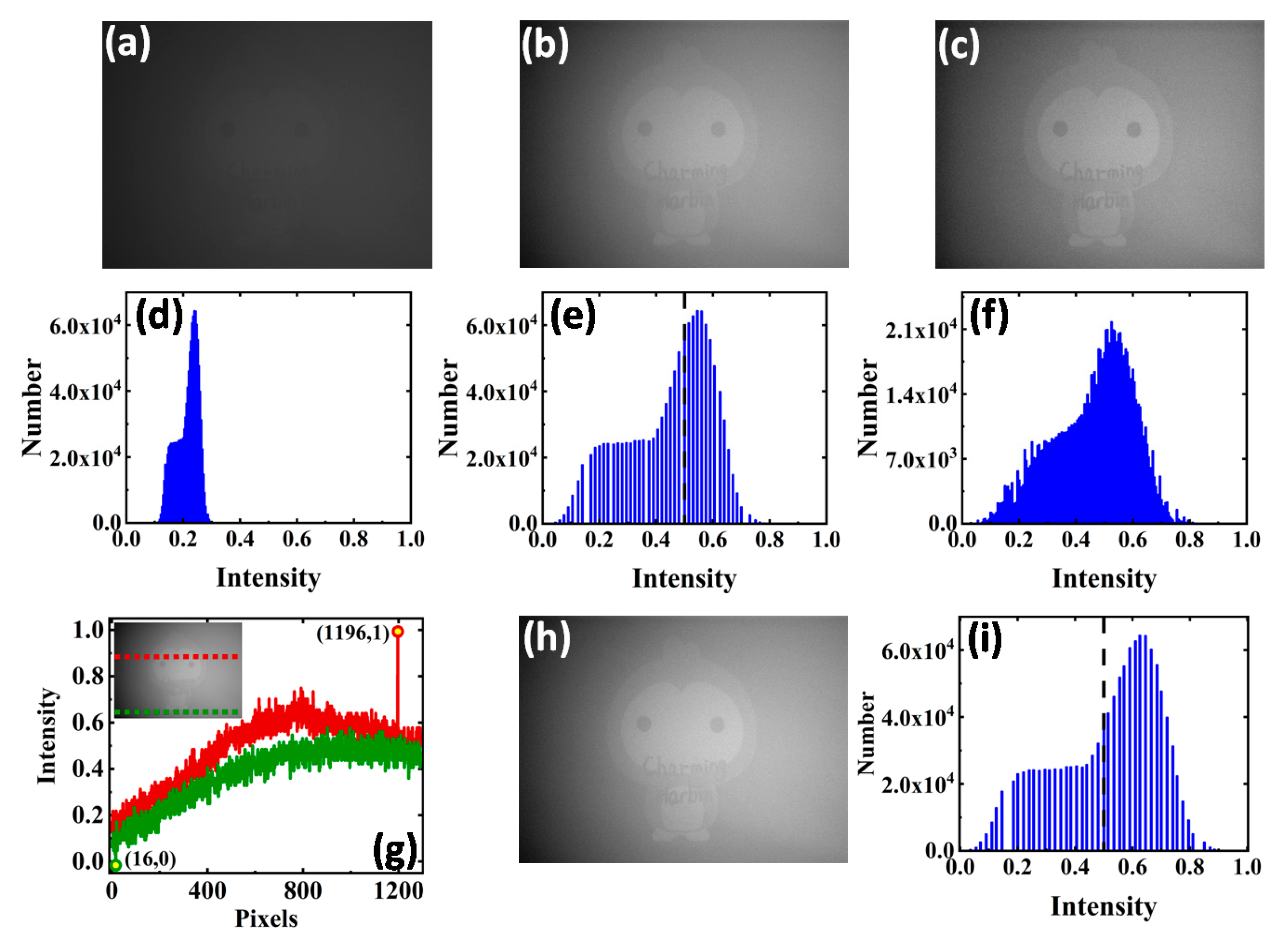 Photonics 10 00145 g005