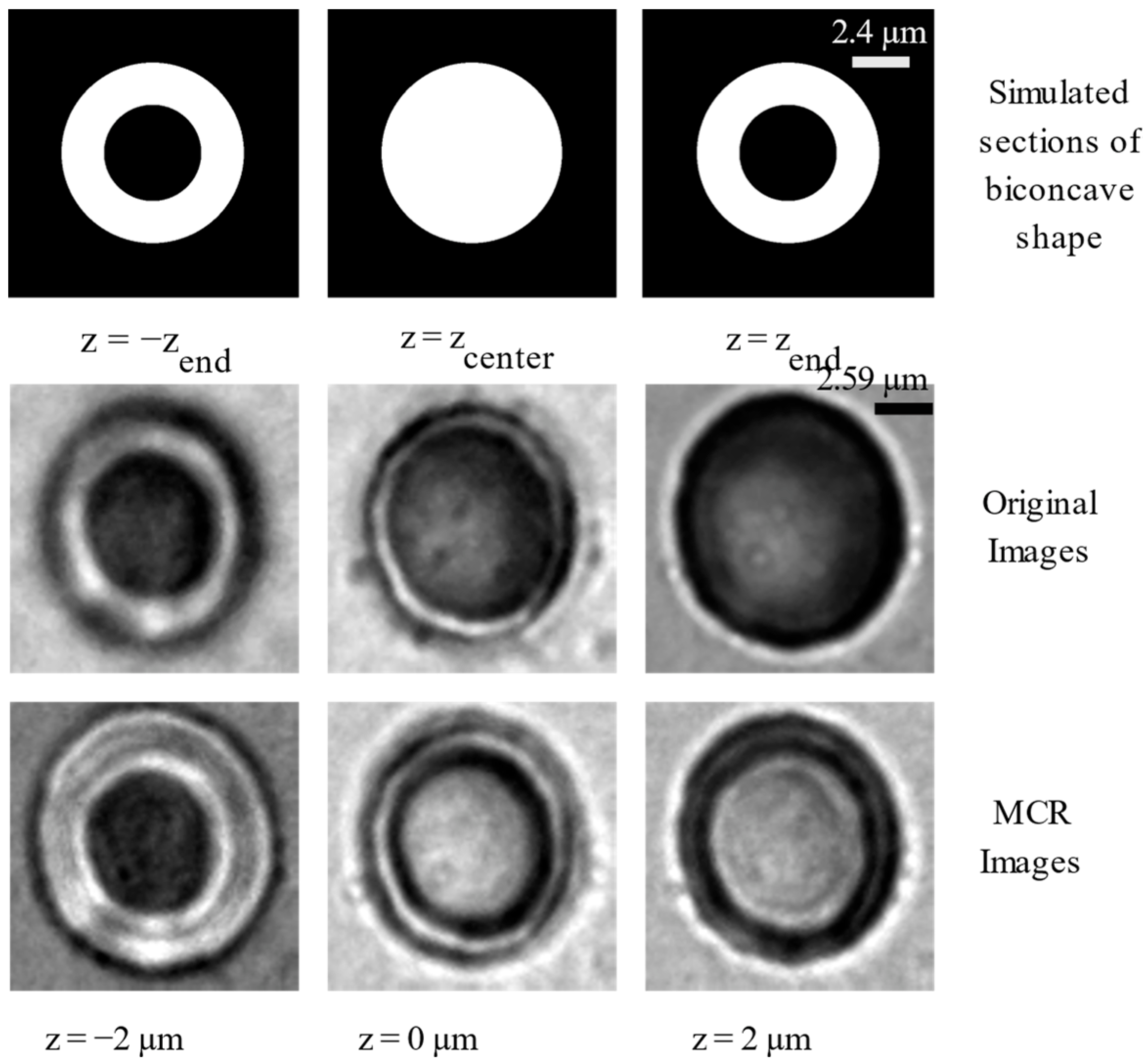 Photonics 10 00163 g004