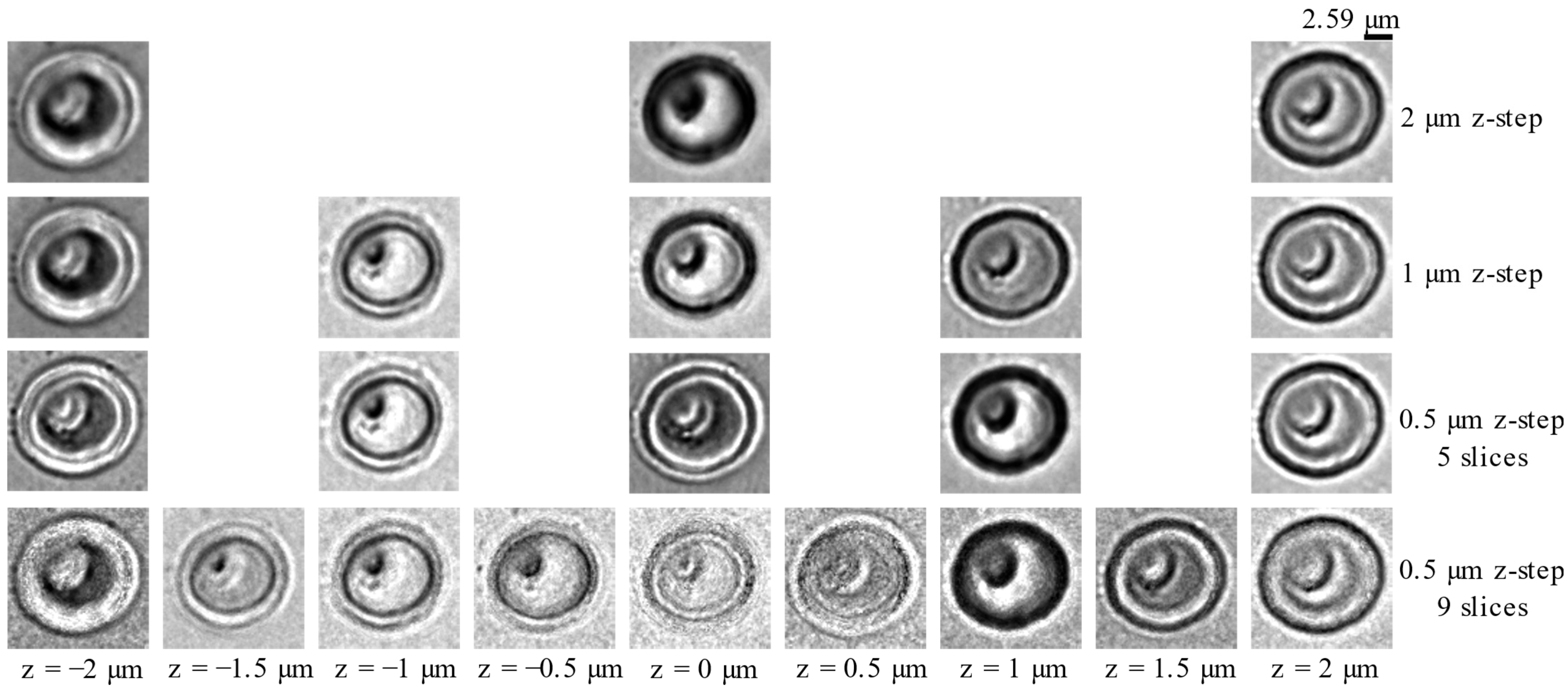 Photonics 10 00163 g008
