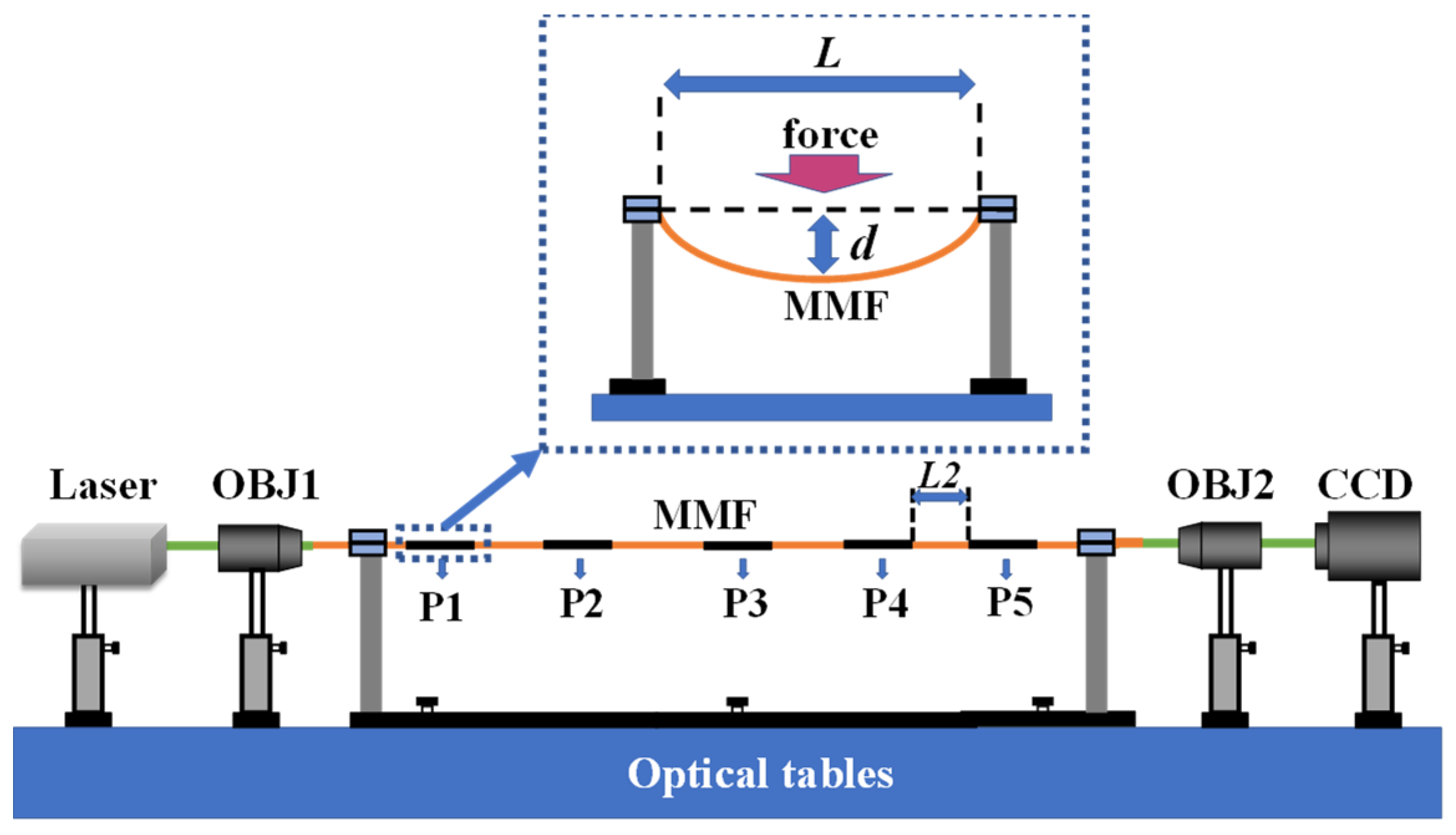 Photonics 10 00169 g002