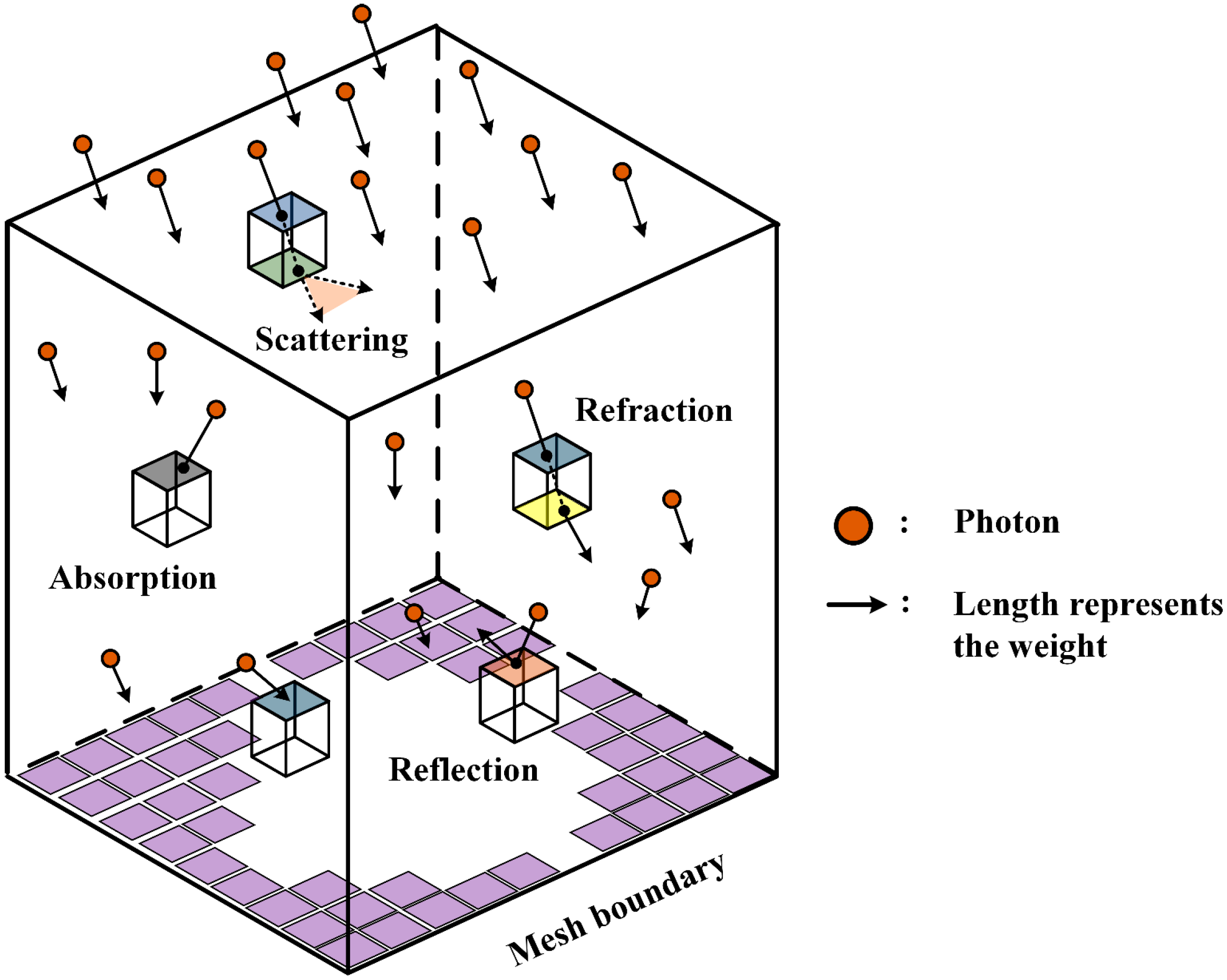 Photonics 10 00172 g002