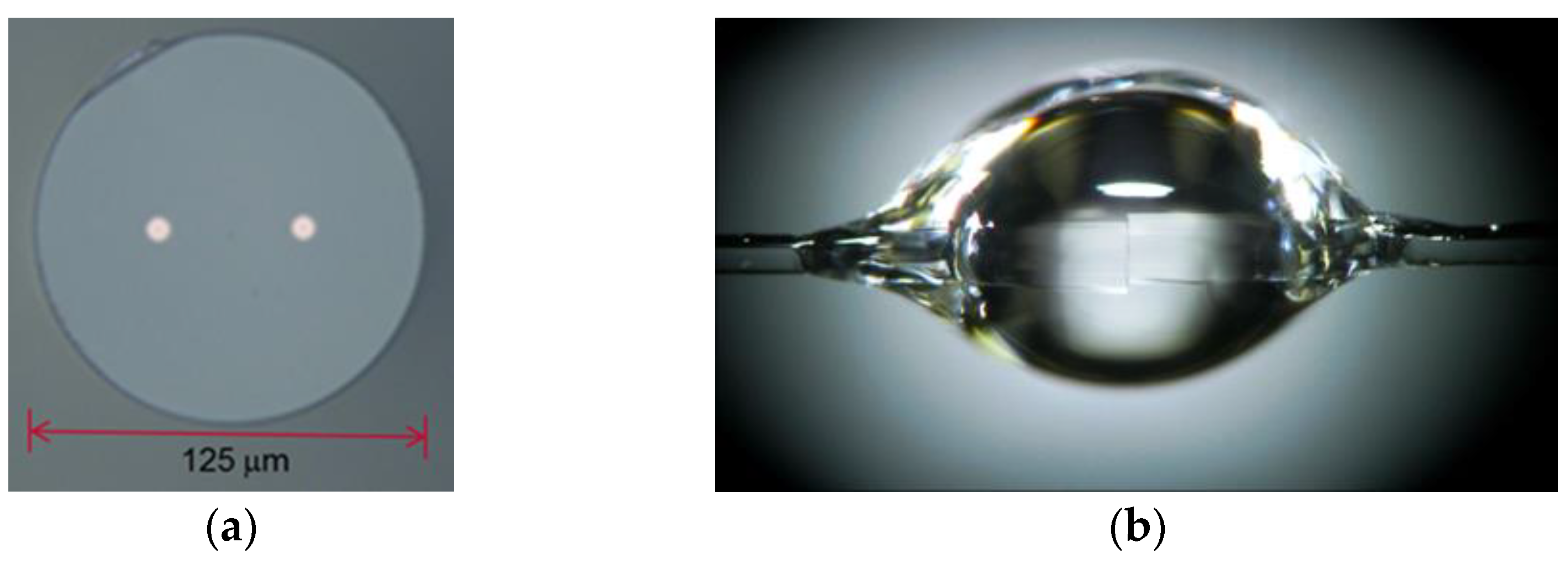 Photonics 10 00174 g014 Photonics 10 00174 g014