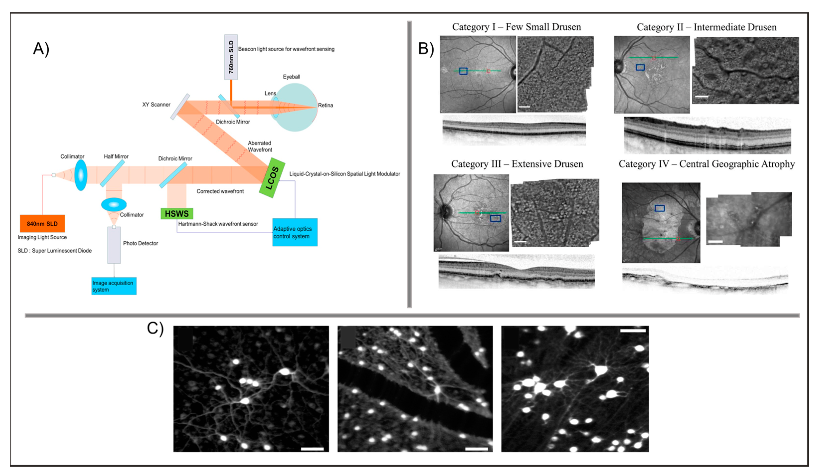 Photonics 10 00178 g007 Photonics 10 00178 g007