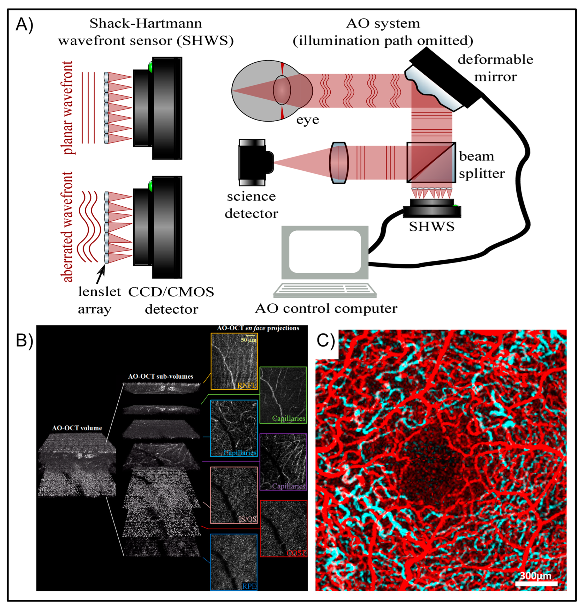 Photonics 10 00178 g008 Photonics 10 00178 g008