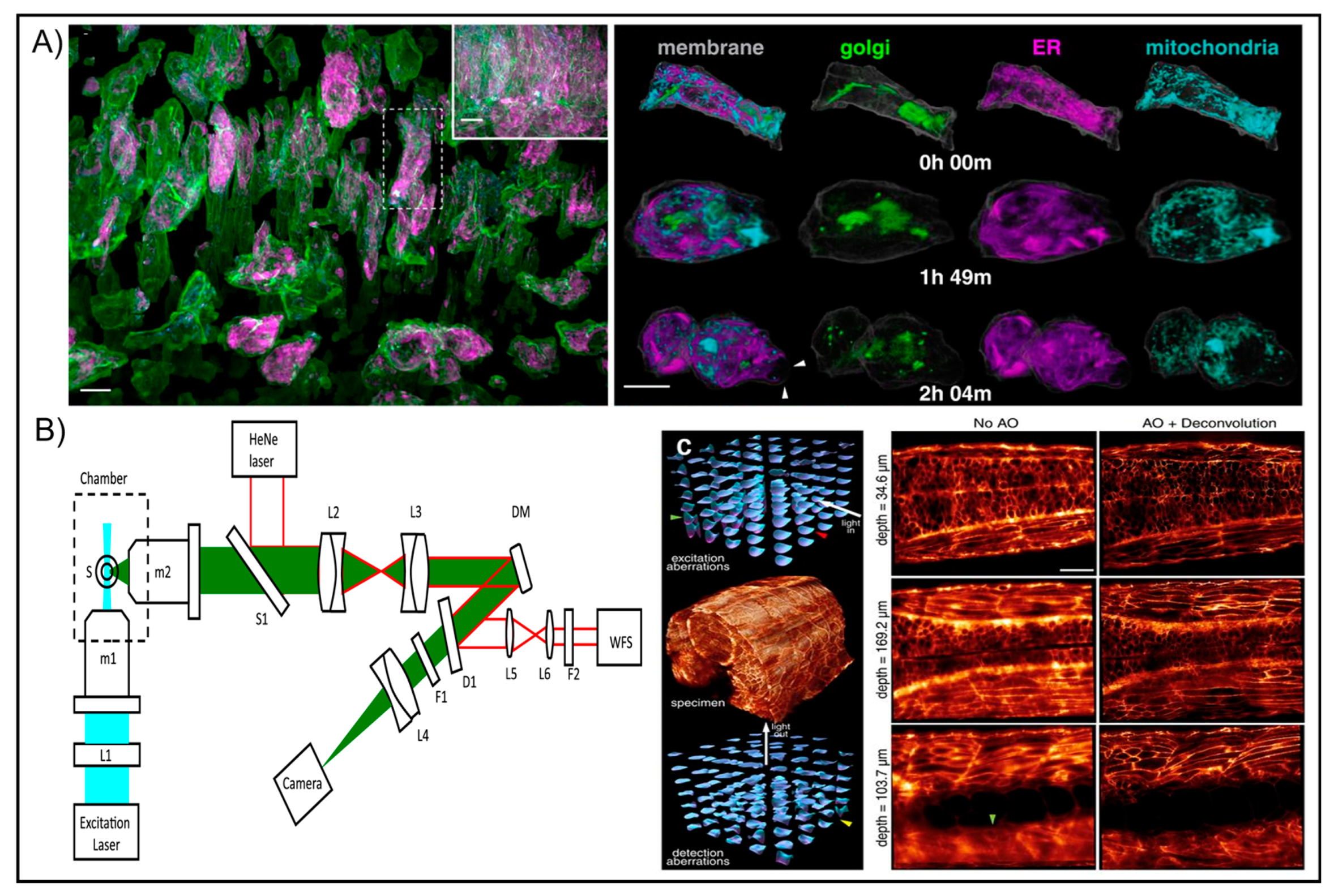 Photonics 10 00178 g010 Photonics 10 00178 g010