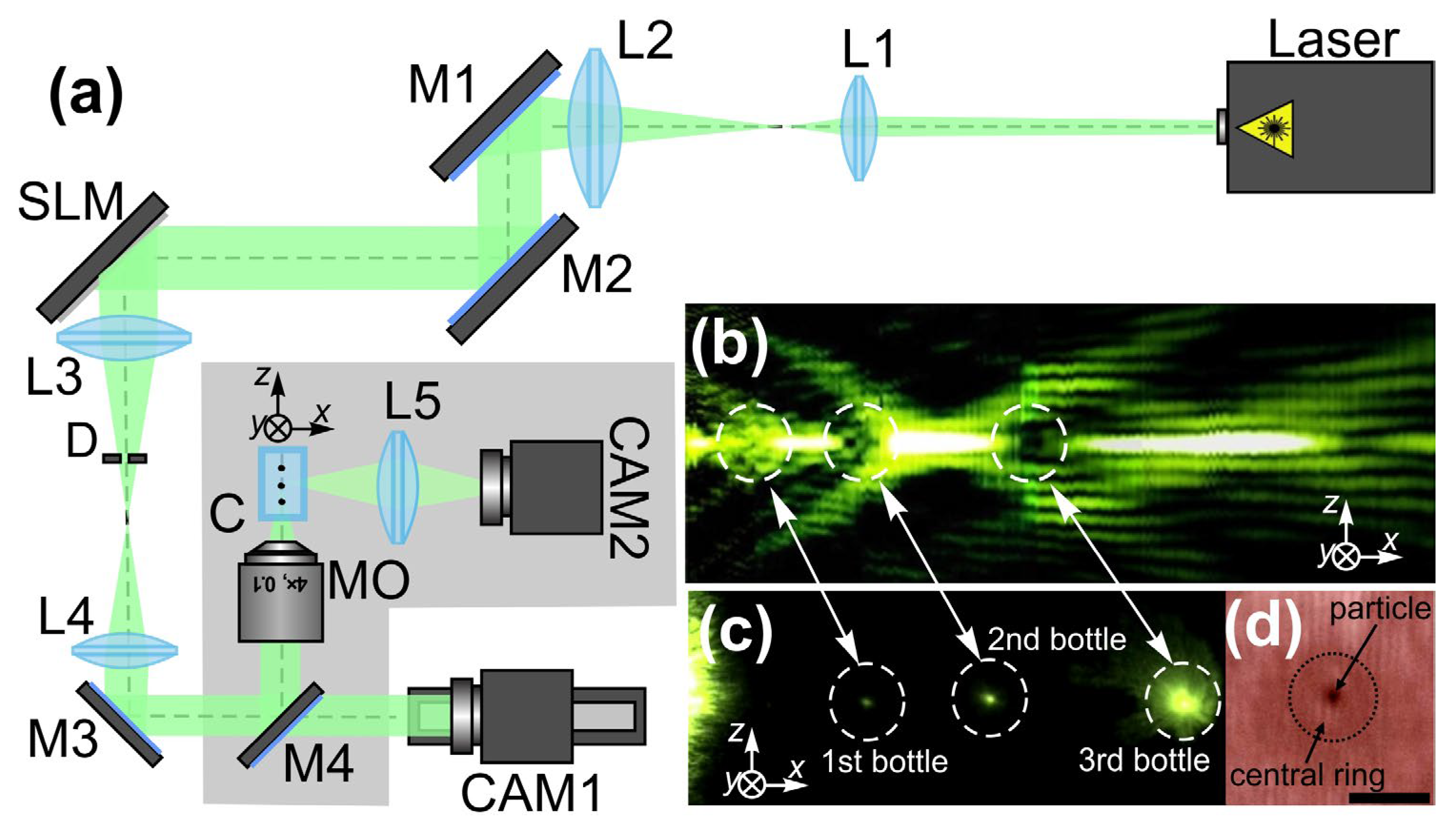 Photonics 10 00200 g010
