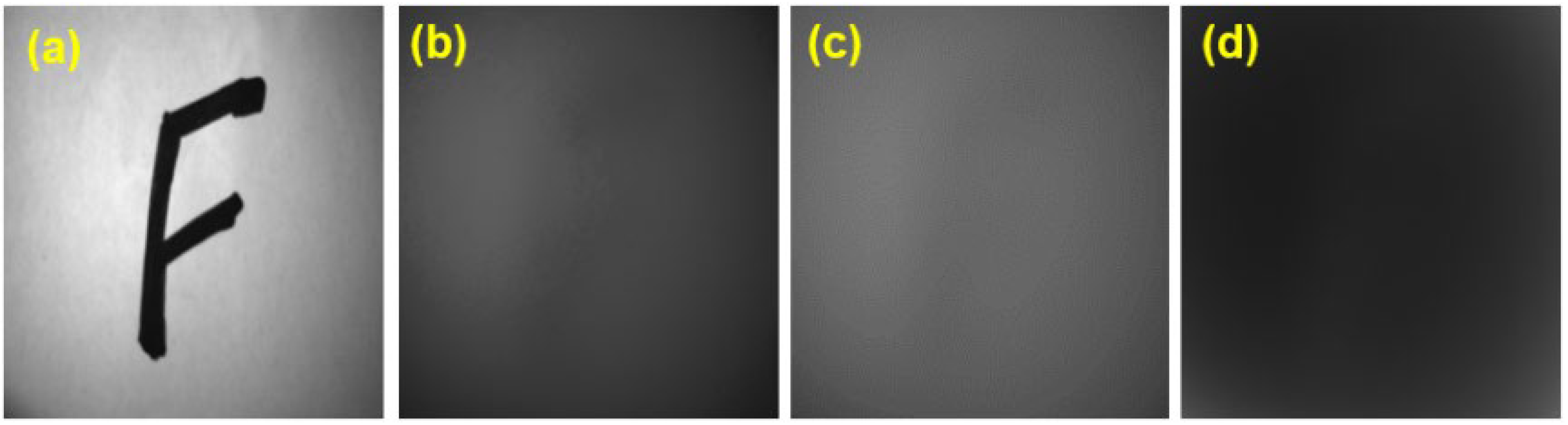Photonics 10 00204 g003