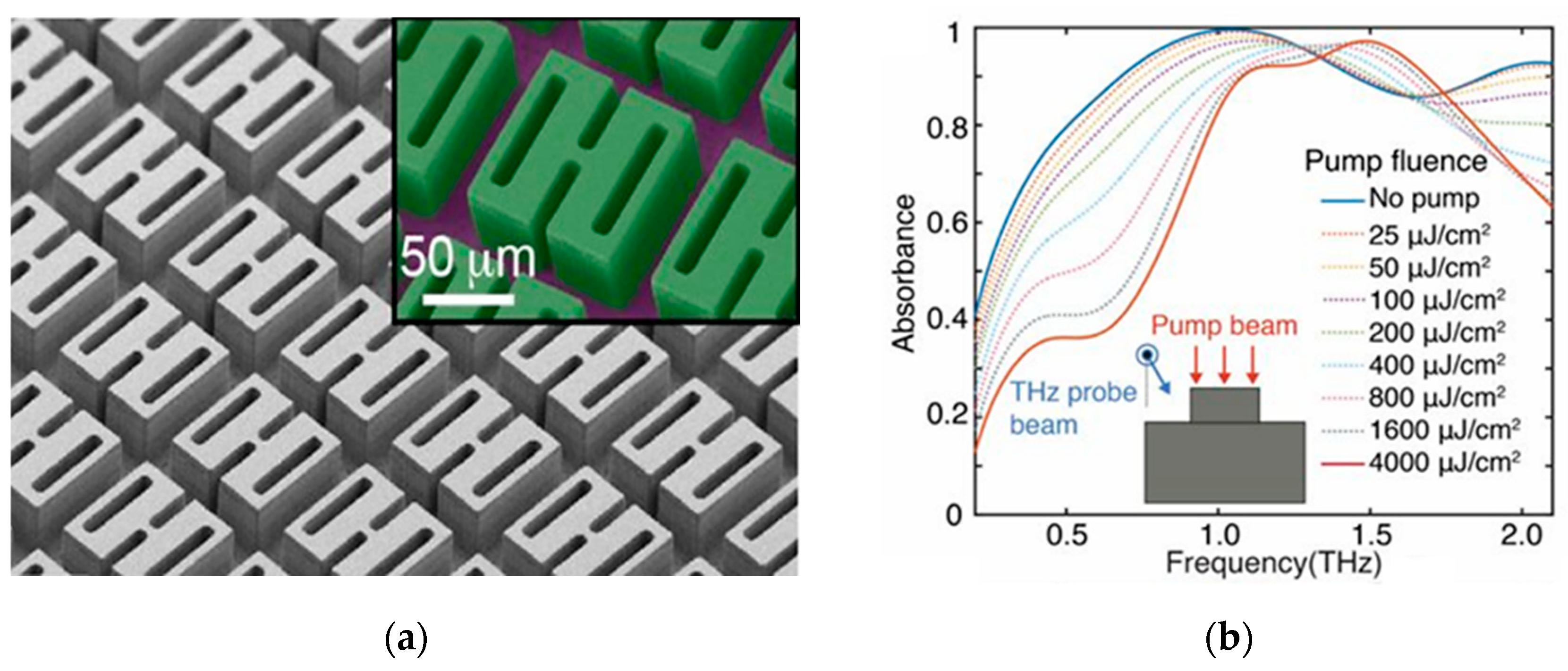 Photonics 10 00205 g022