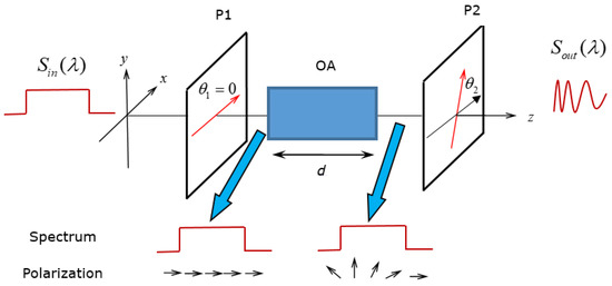 Movable Optical Frequency Ruler with Optical Activity