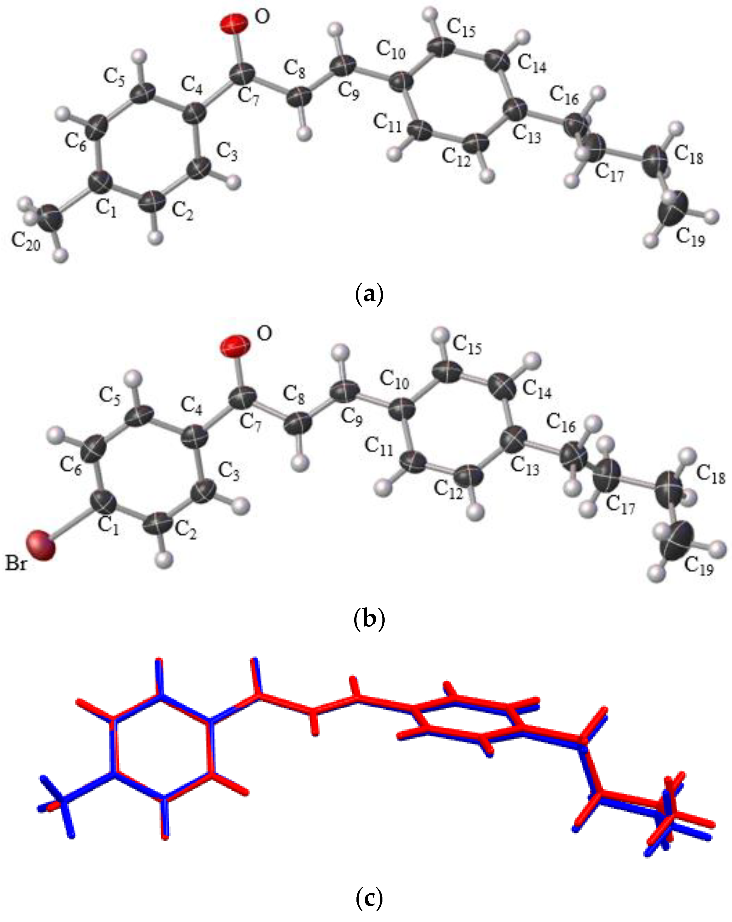 Photonics 10 00228 g002