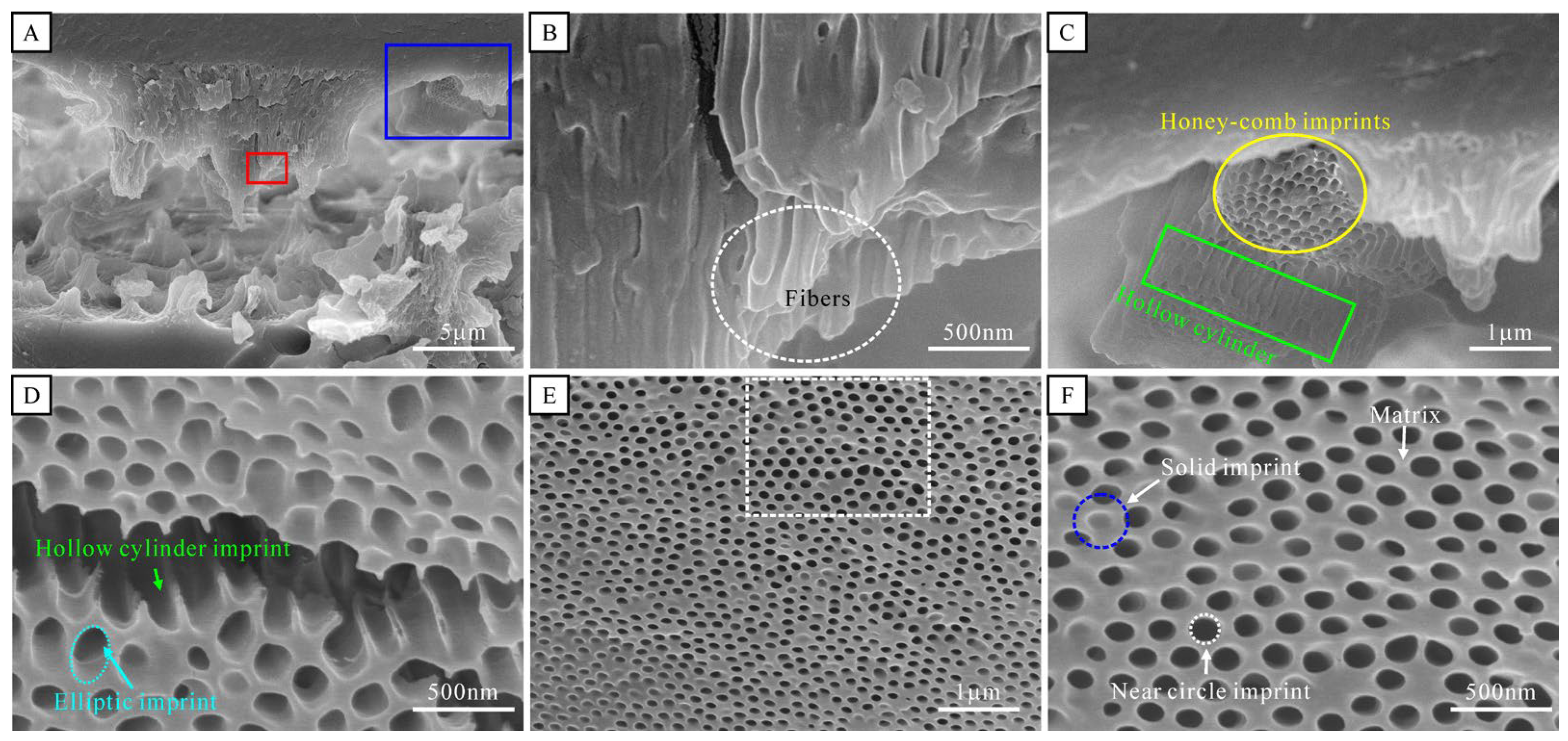Photonics 10 00245 g004 Photonics 10 00245 g004