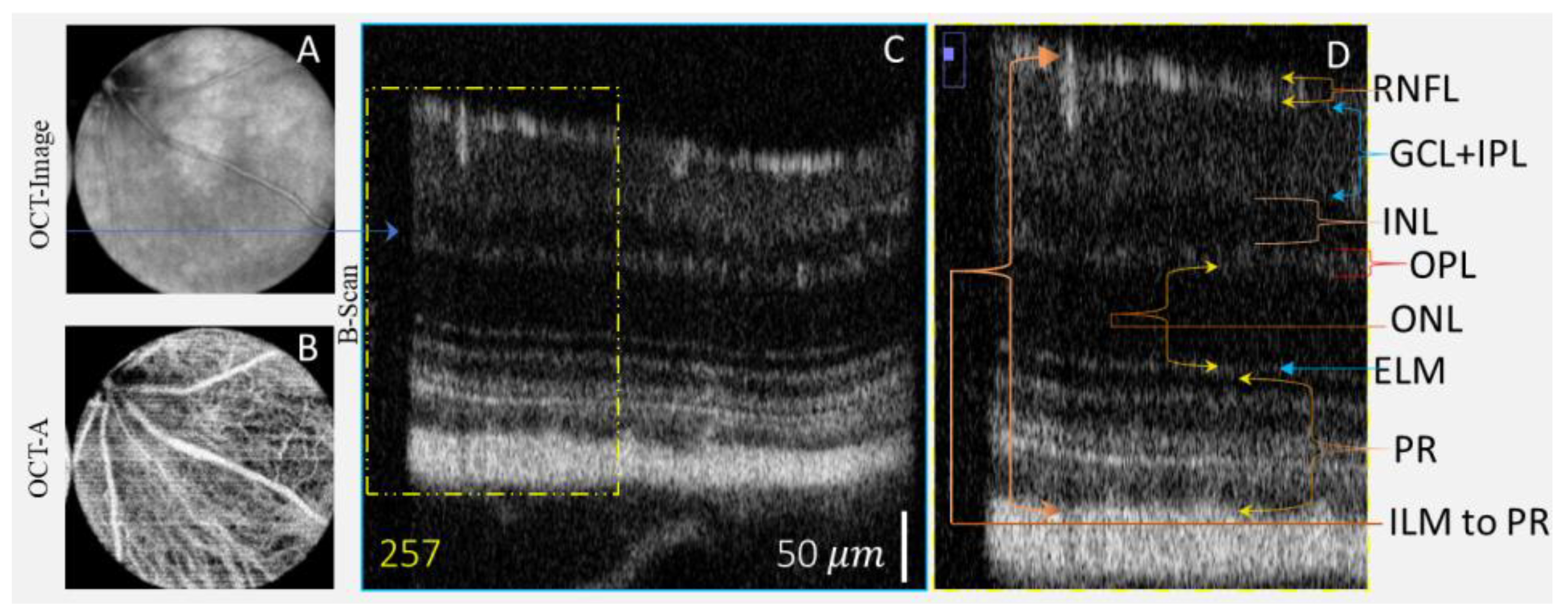 Photonics 10 00275 g008 Photonics 10 00275 g008