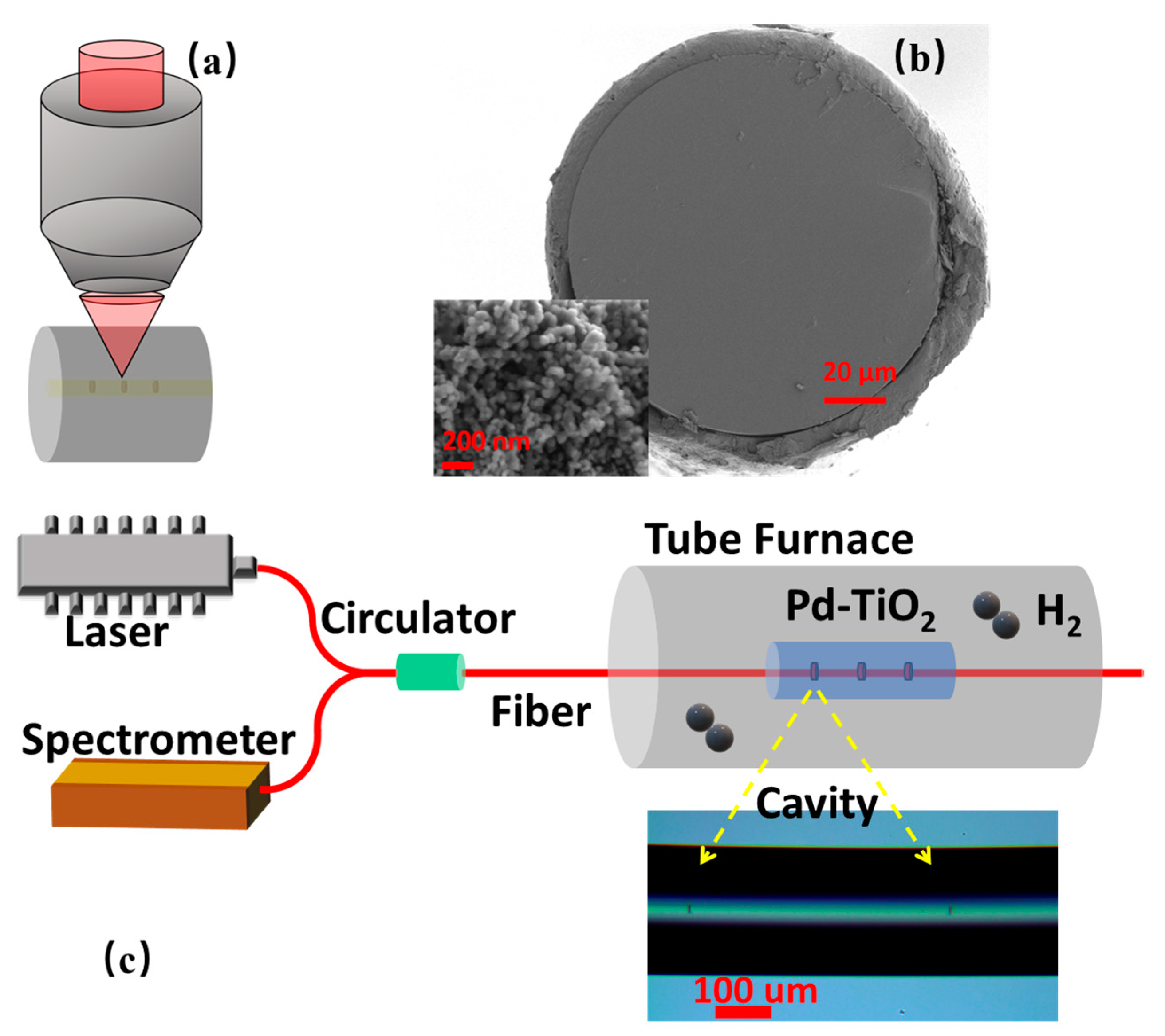 Photonics 10 00284 g001 Photonics 10 00284 g001