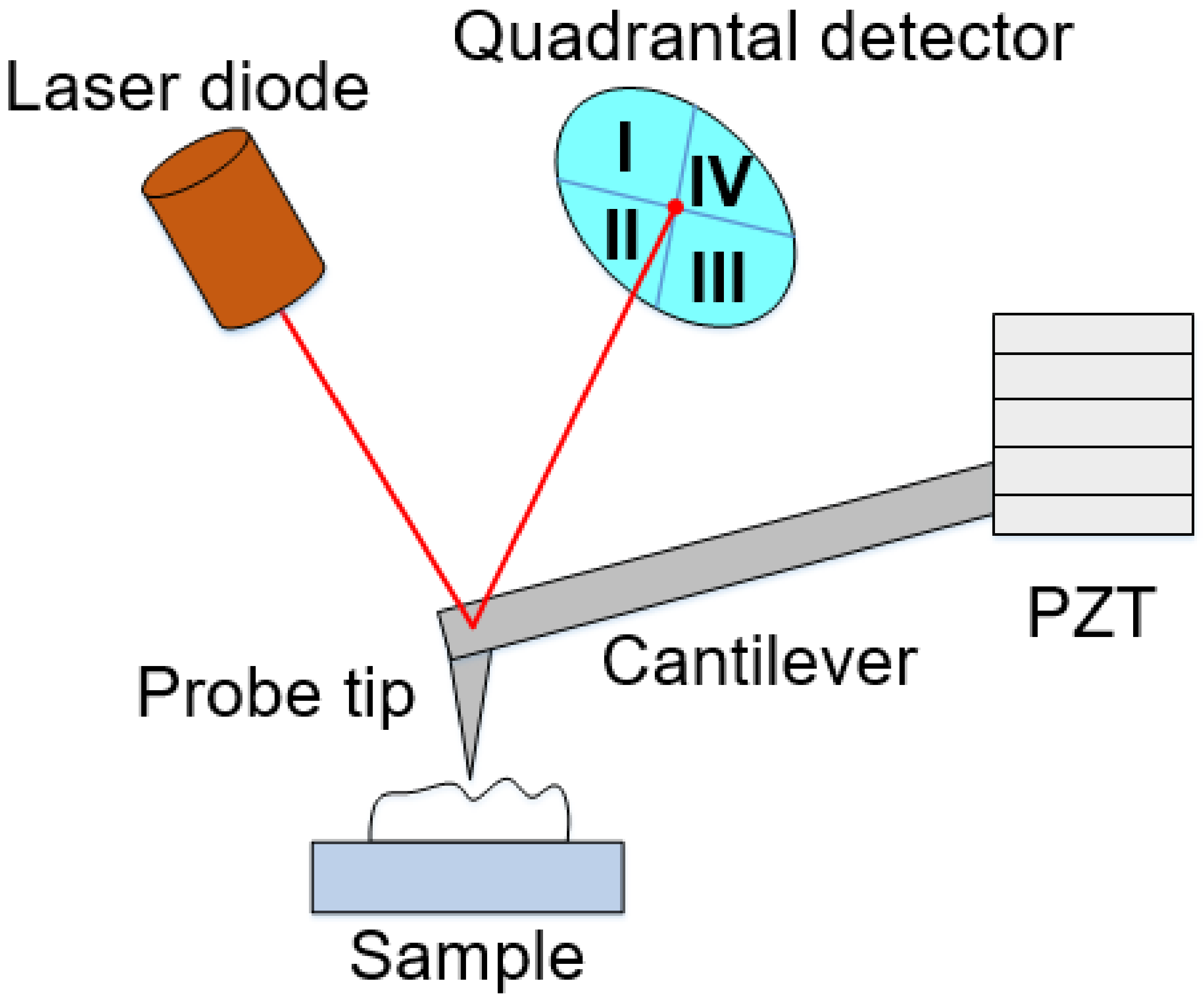 Photonics 10 00289 g002