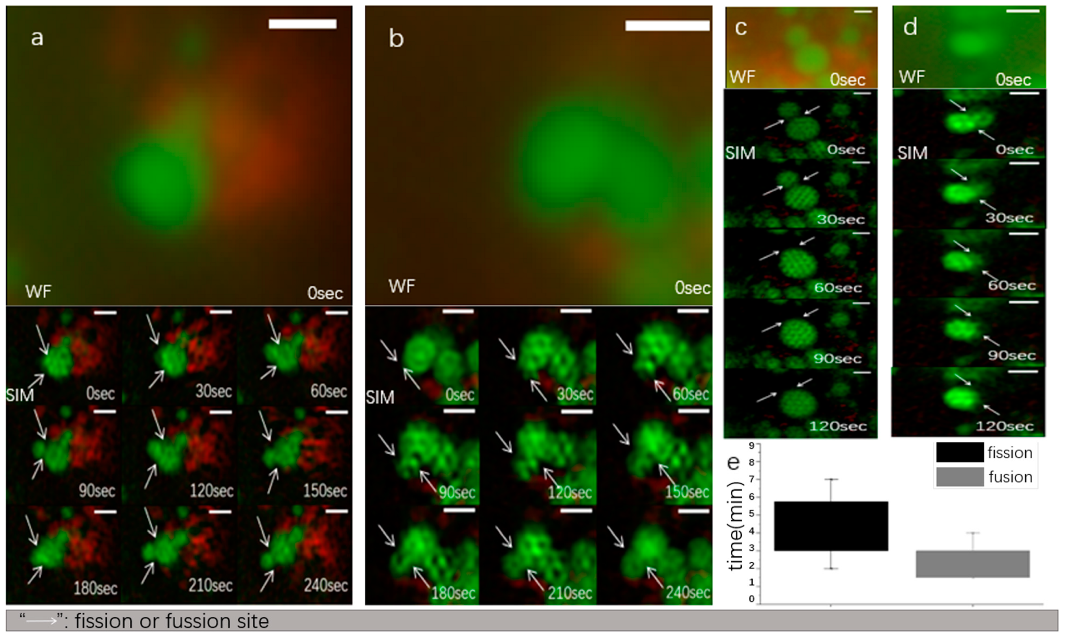 Photonics 10 00313 g007 Photonics 10 00313 g007