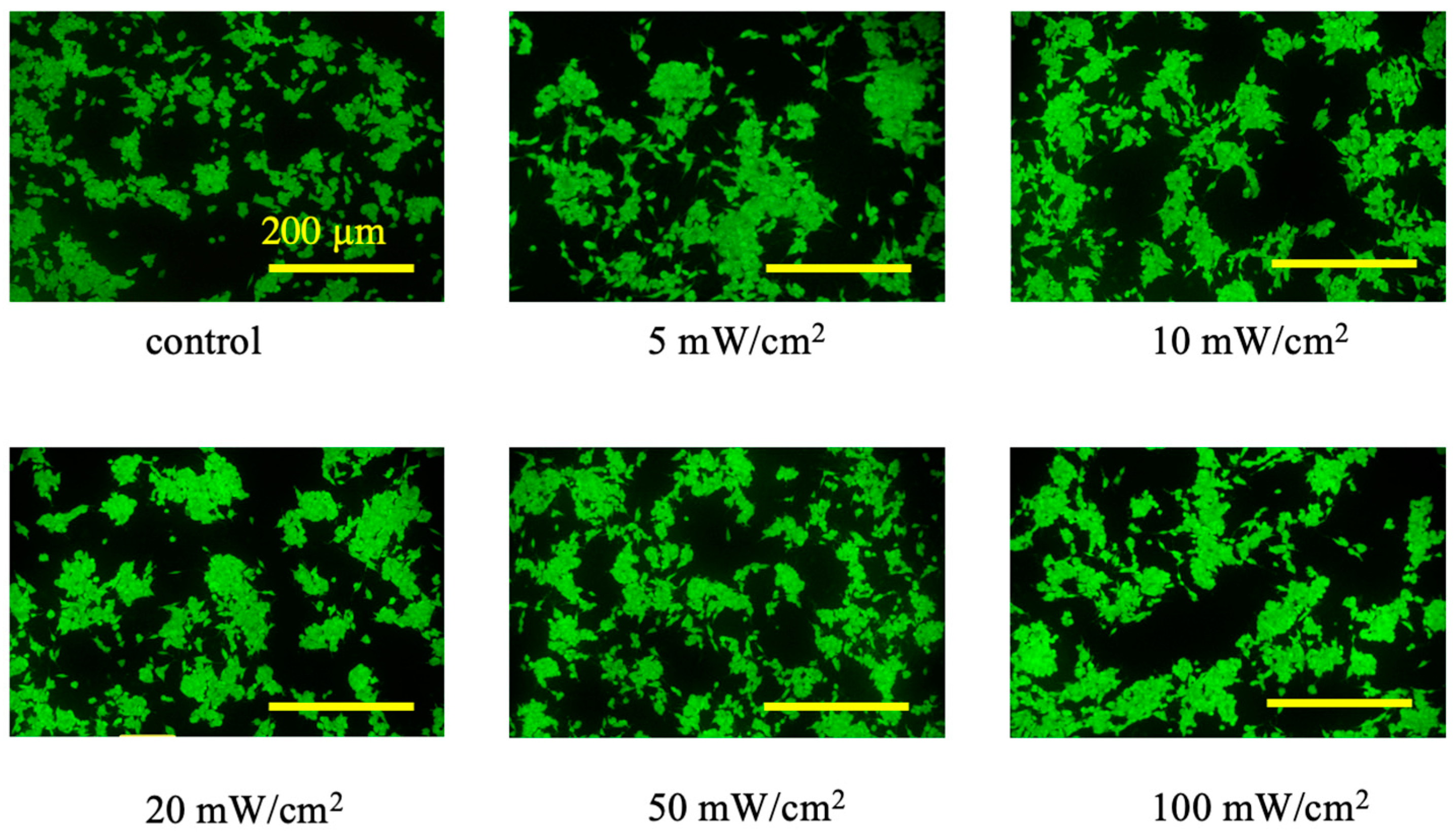 Photonics 10 00315 g005 Photonics 10 00315 g005