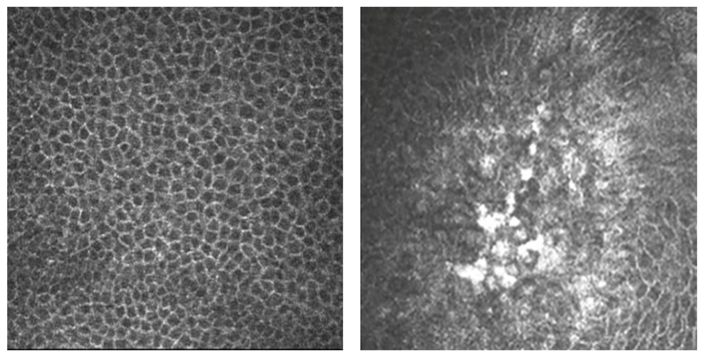 Photonics 10 00349 g002