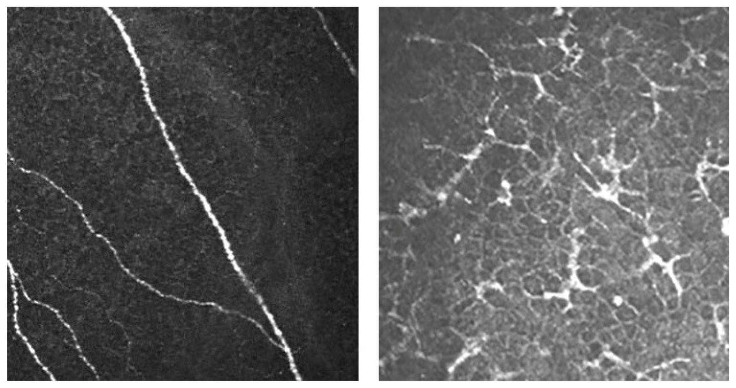 Photonics 10 00349 g003