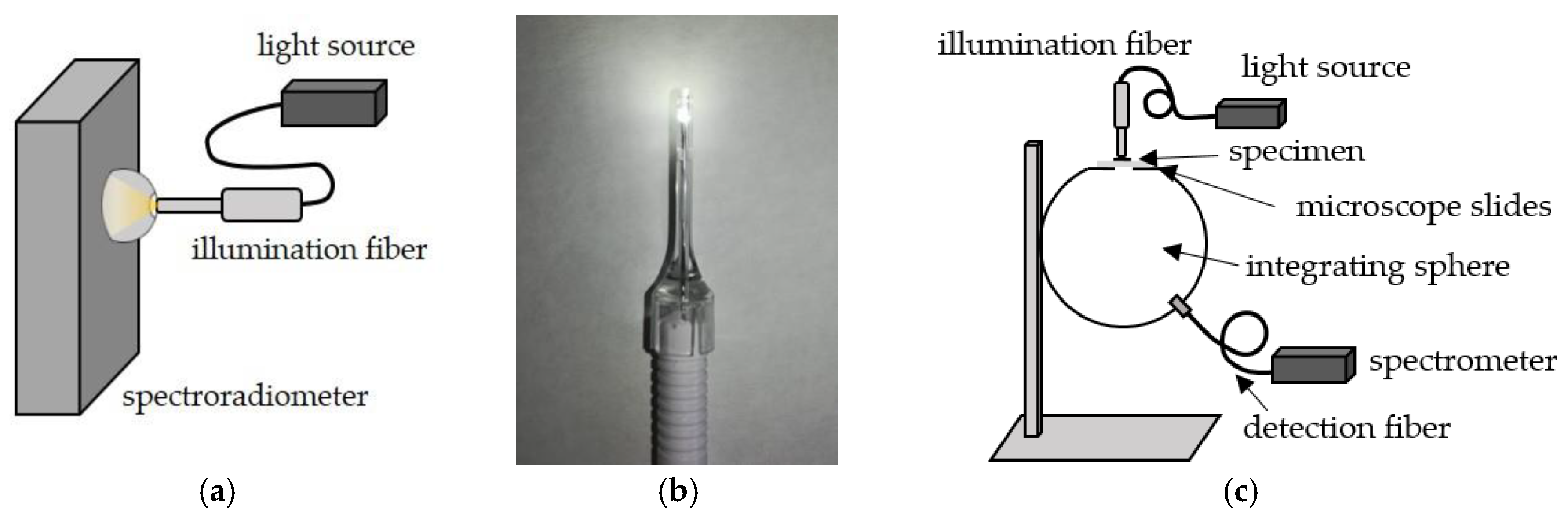 Photonics 10 00362 g001