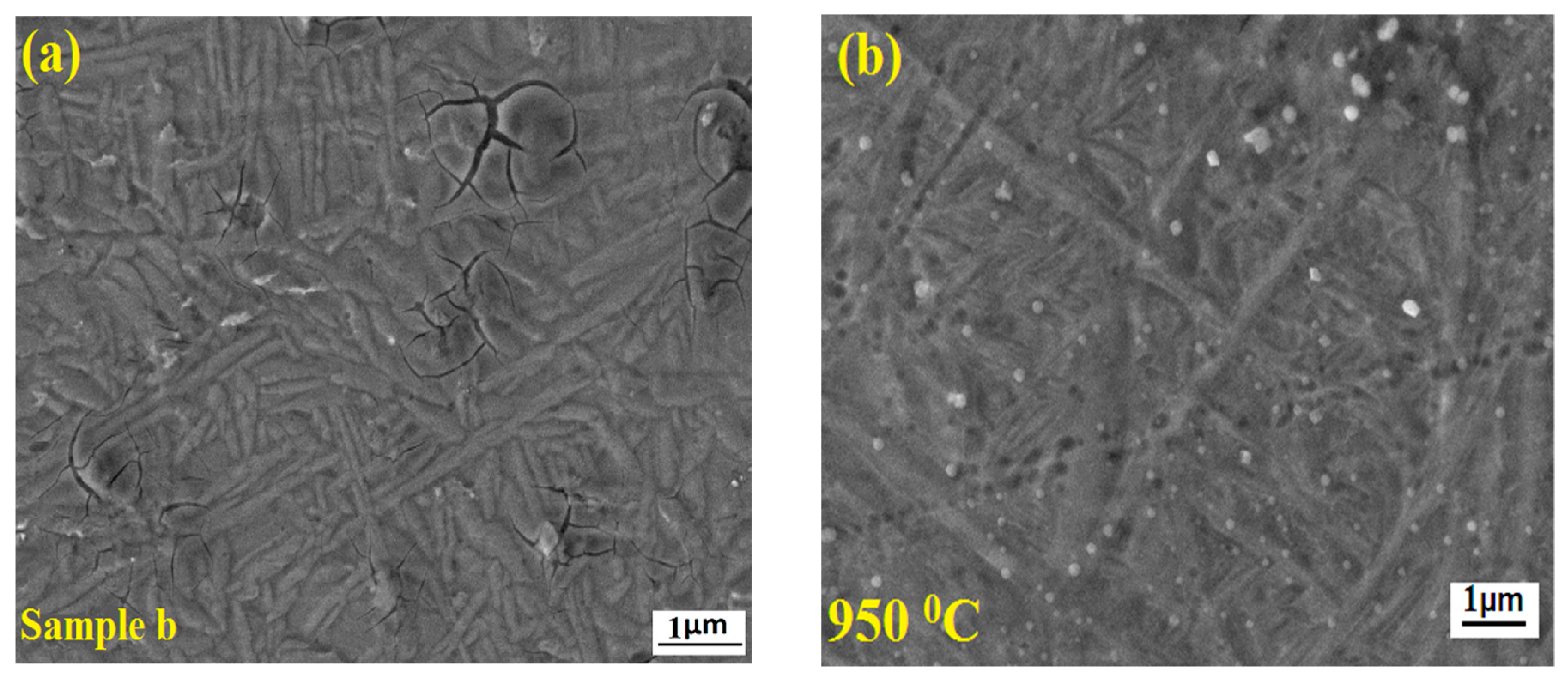 Photonics 10 00372 g007a