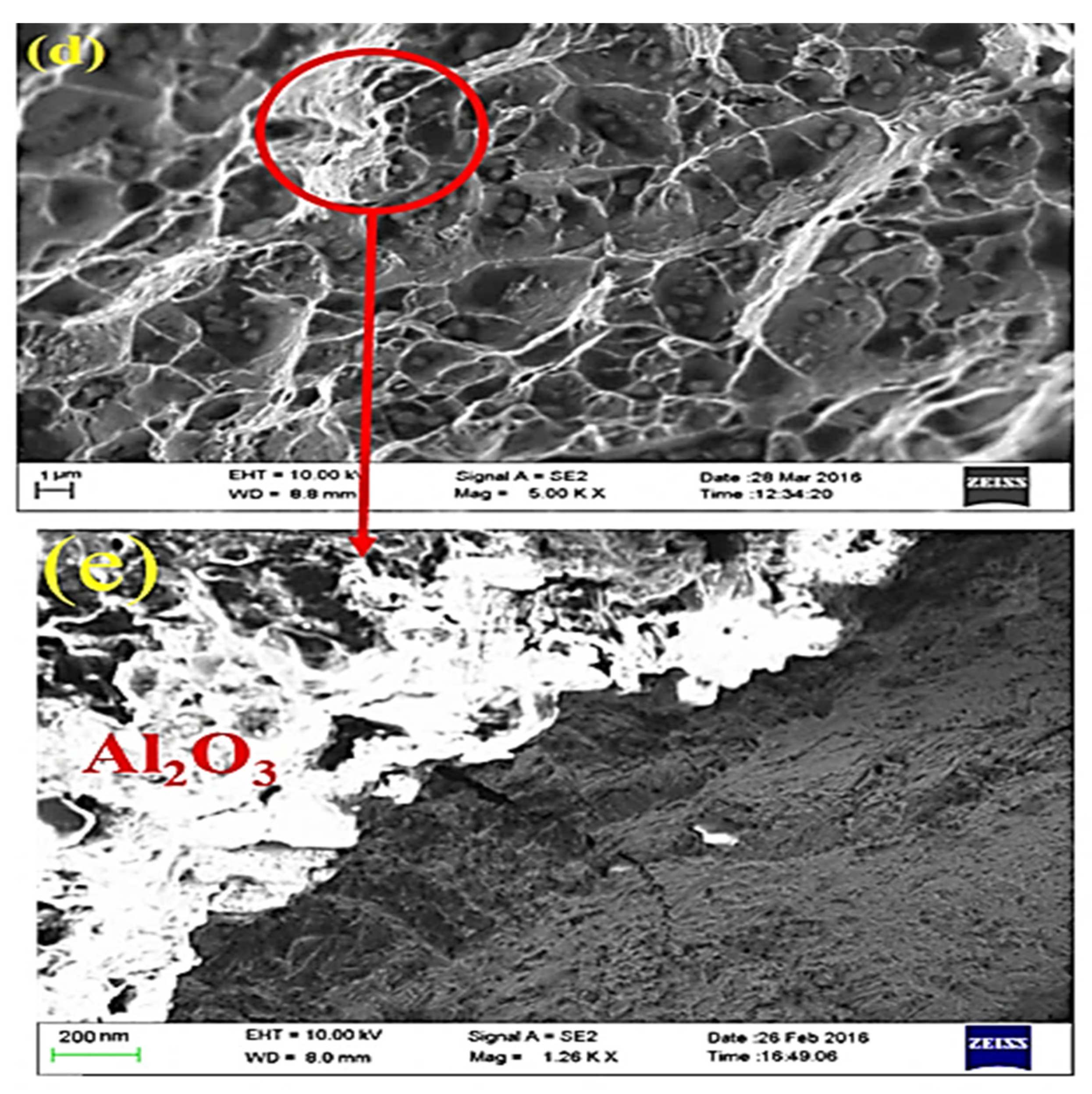 Photonics 10 00372 g015b