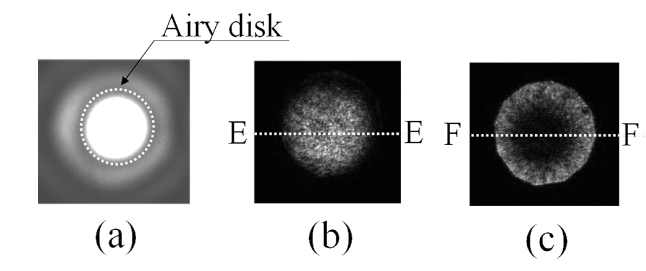 Photonics 10 00374 g008