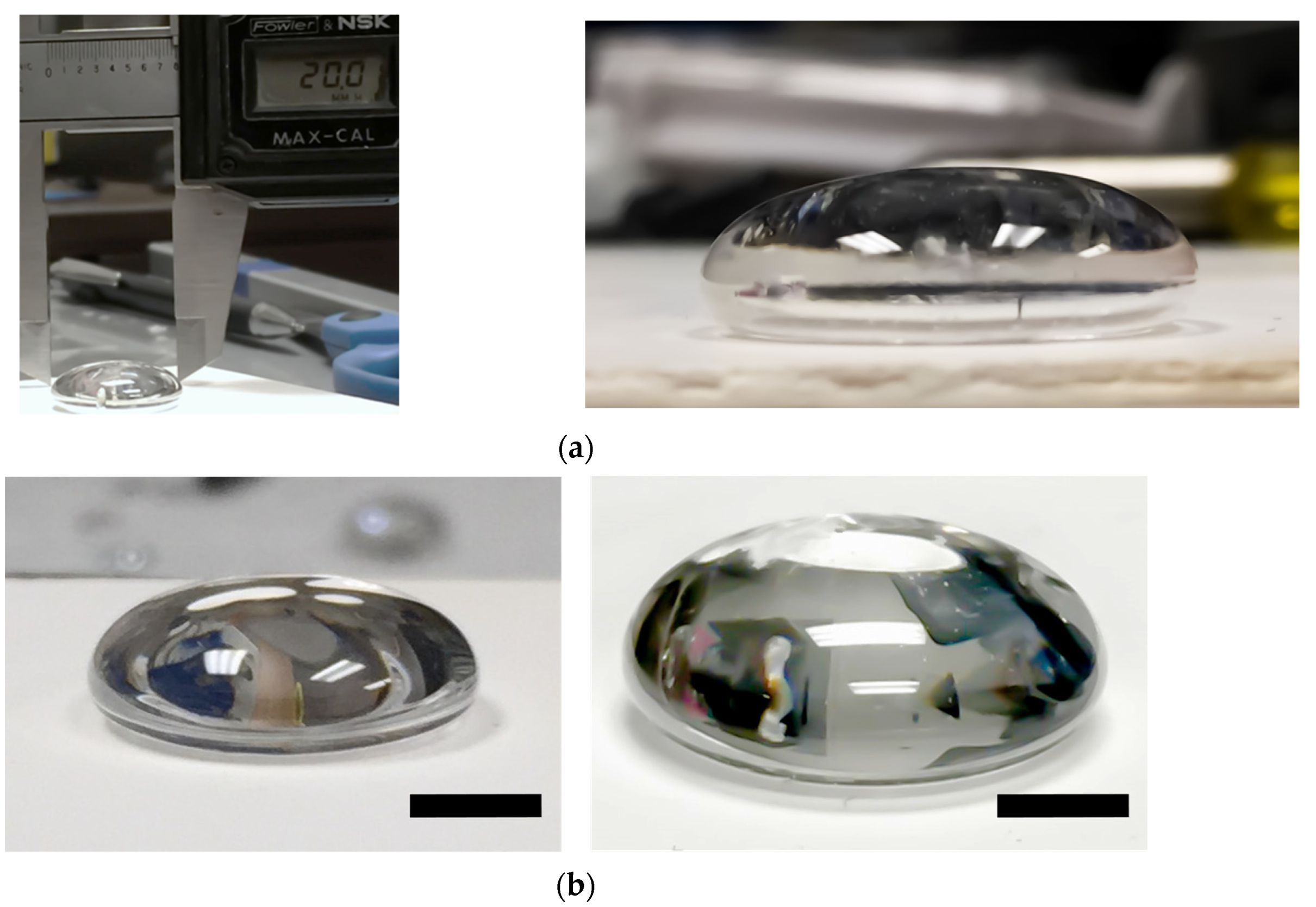 Photonics 10 00378 g008