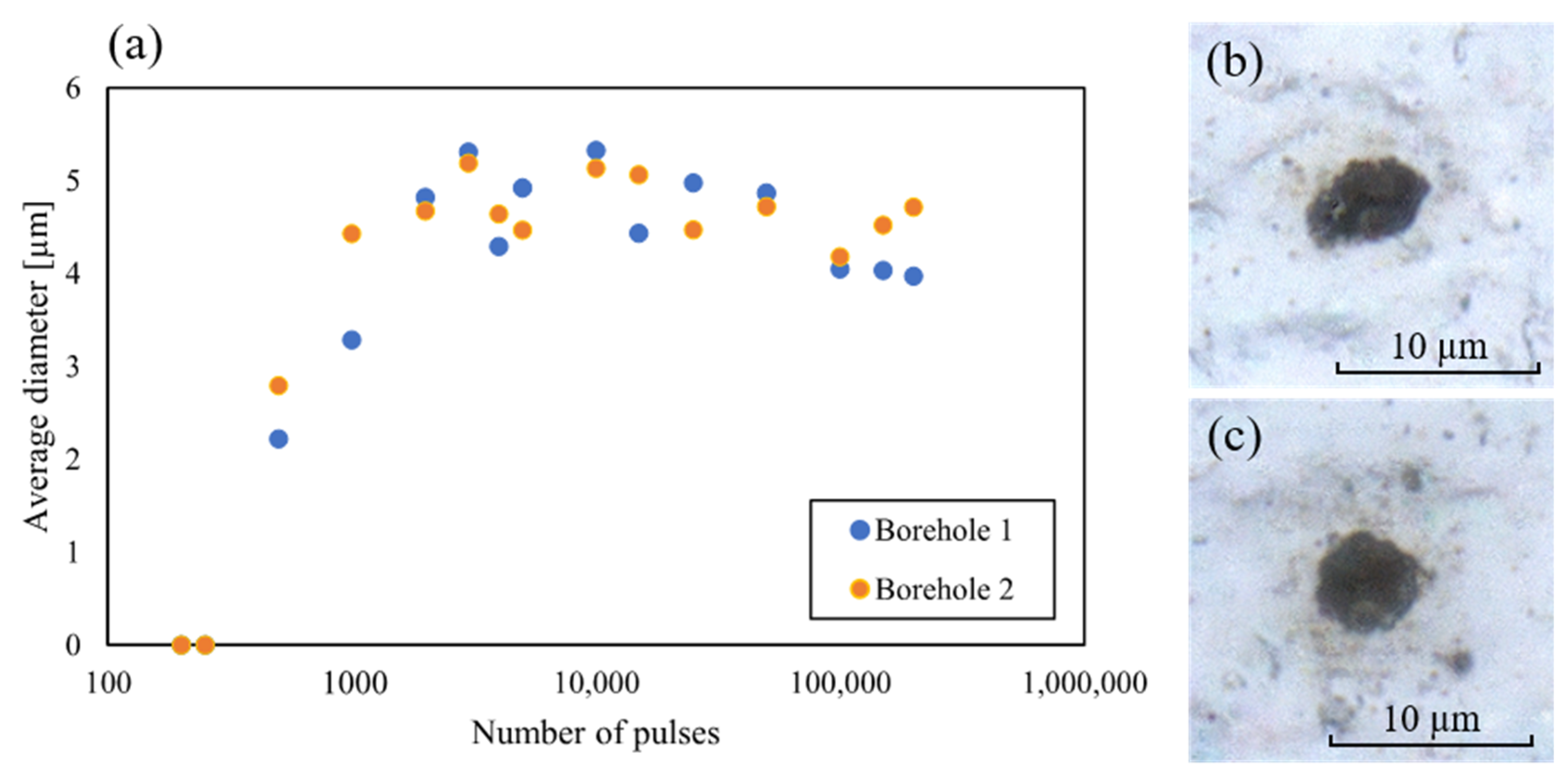 Photonics 10 00413 g007