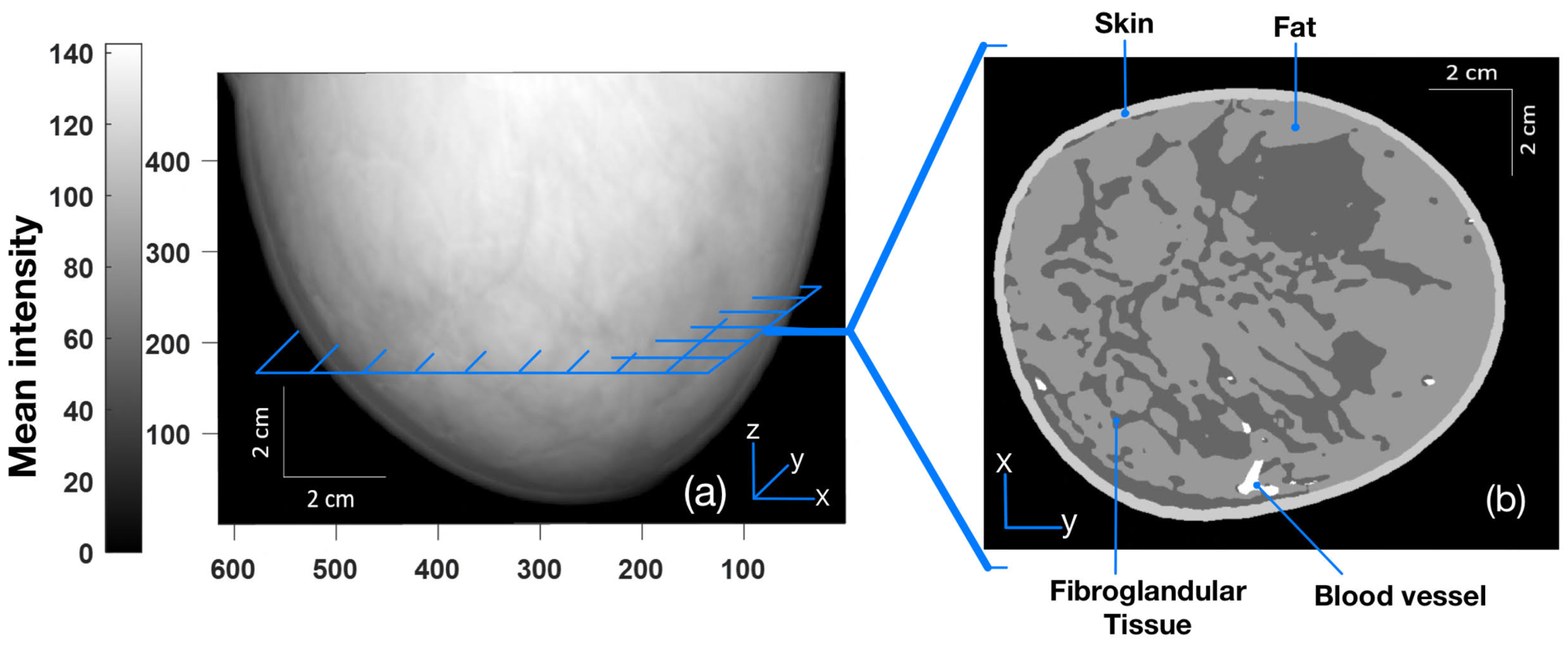 Photonics 10 00425 g001
